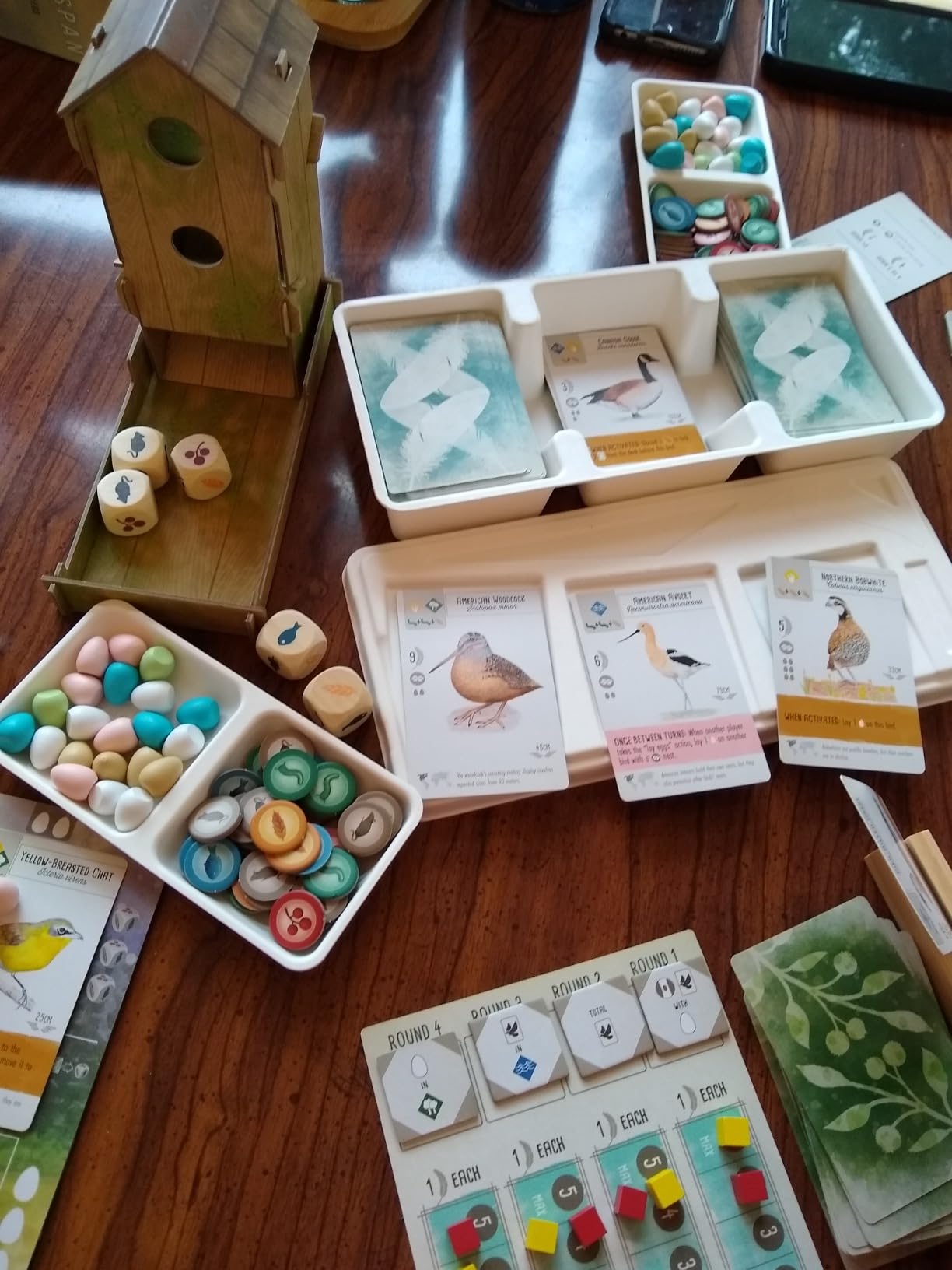 Stonemaier Games: Wingspan (Base Game) by Elizabeth Hargrave | A Relaxing, Award-Winning Strategy Board Game About Collecting Birds for Adults and Family | 1-5 Players, 70 Mins customer photo 2