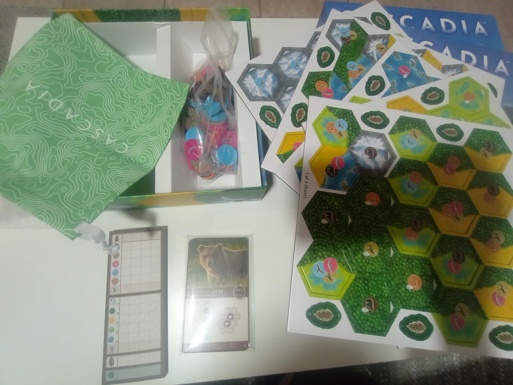 AEG & Flatout Games | Cascadia - Award-Winning Board Game Set in the Pacific Northwest | Easy to Learn | Quick to Play | Ages 10+ customer photo 2