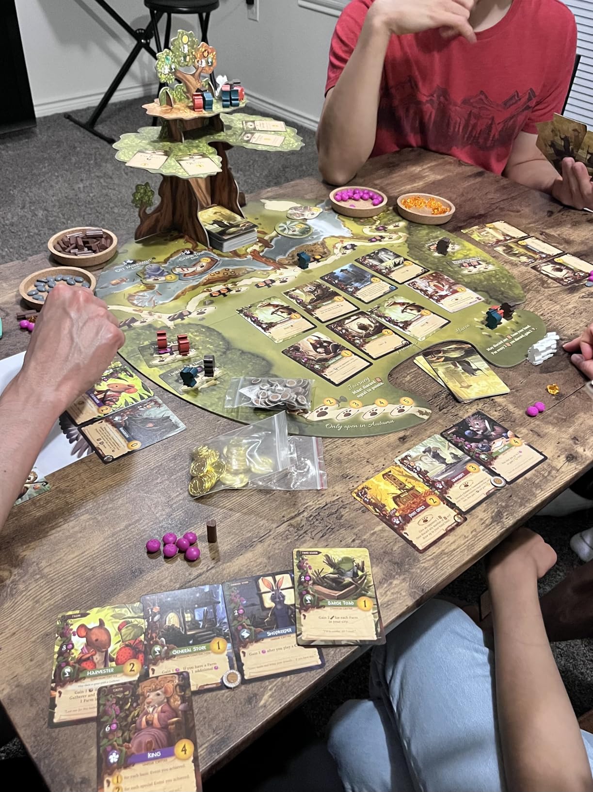 Everdell Duo - 2-Player Standalone Board Game with Competitive, Co-Op & Campaign Modes - Strategy Game with Woodland Theme, Ages 10+, Fast 30-Minute Gameplay customer photo 1