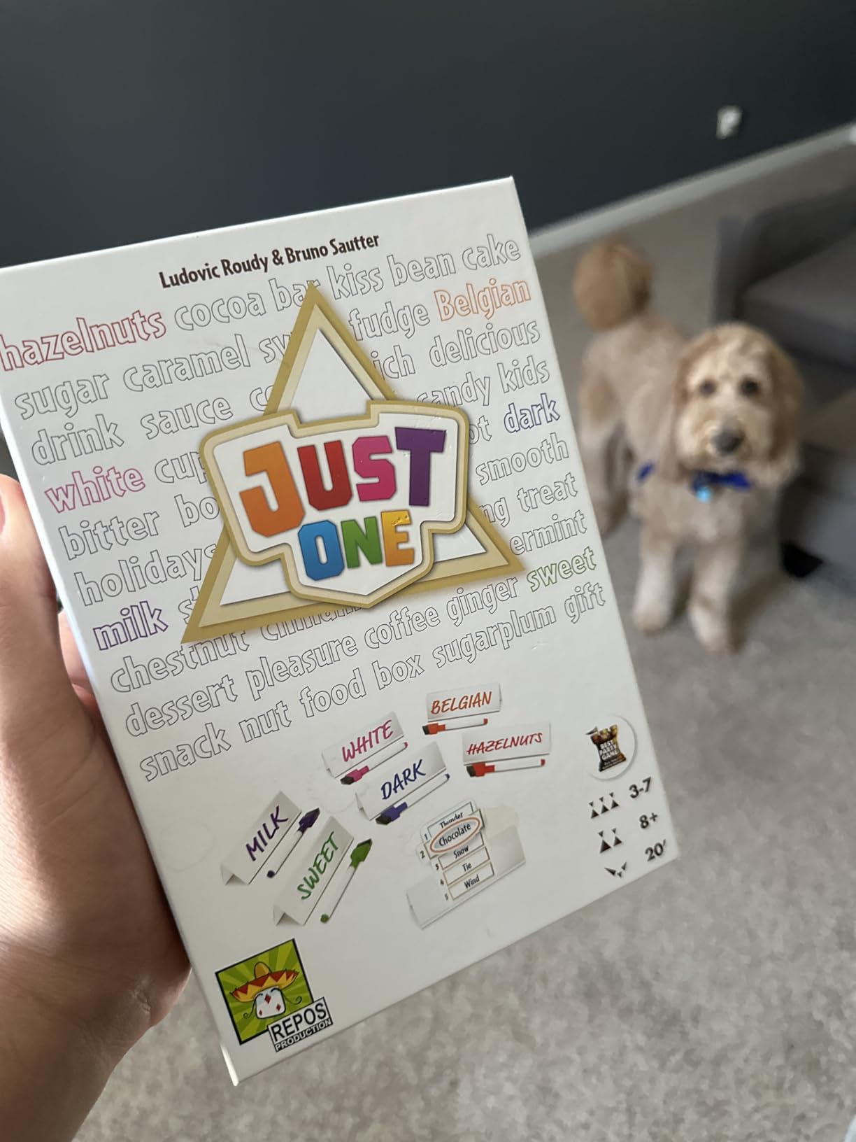 Asmodee Just One Party Game (2025 Refresh) - Cooperative Mystery Word Guessing Fun customer photo 1