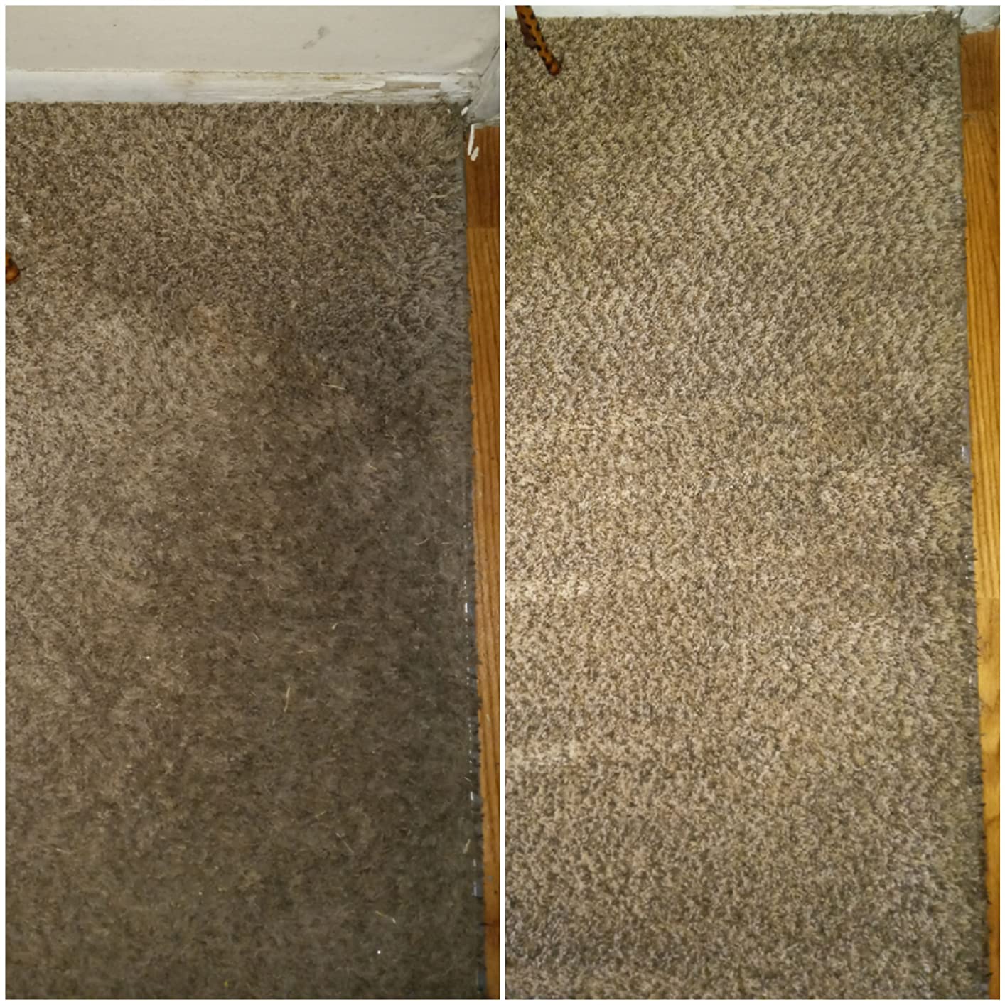 Resolve Professional Strength Spot and Stain Carpet Cleaner, 32 Fl Oz customer photo 2
