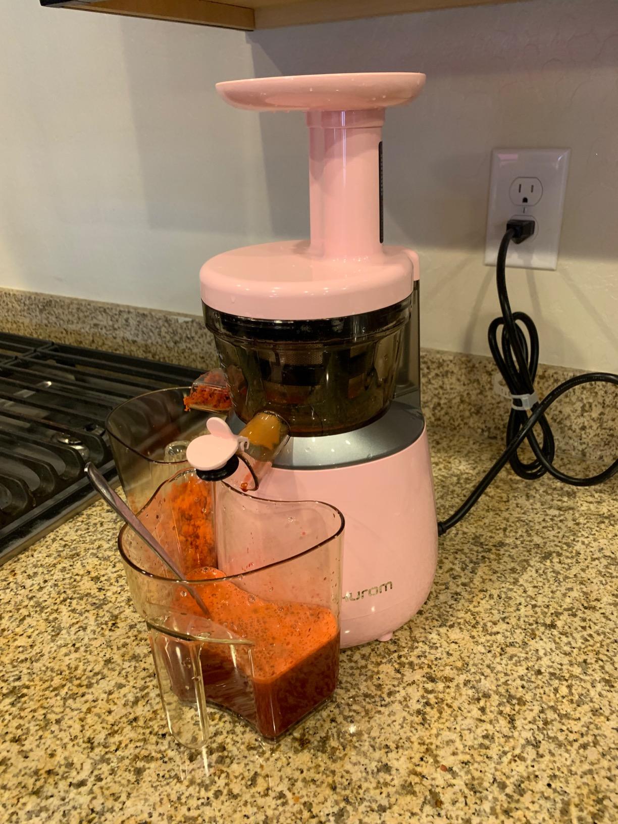 Hurom H310A Personal Self Feeding Slow Masticating Juicer (Matte Black) customer photo 1