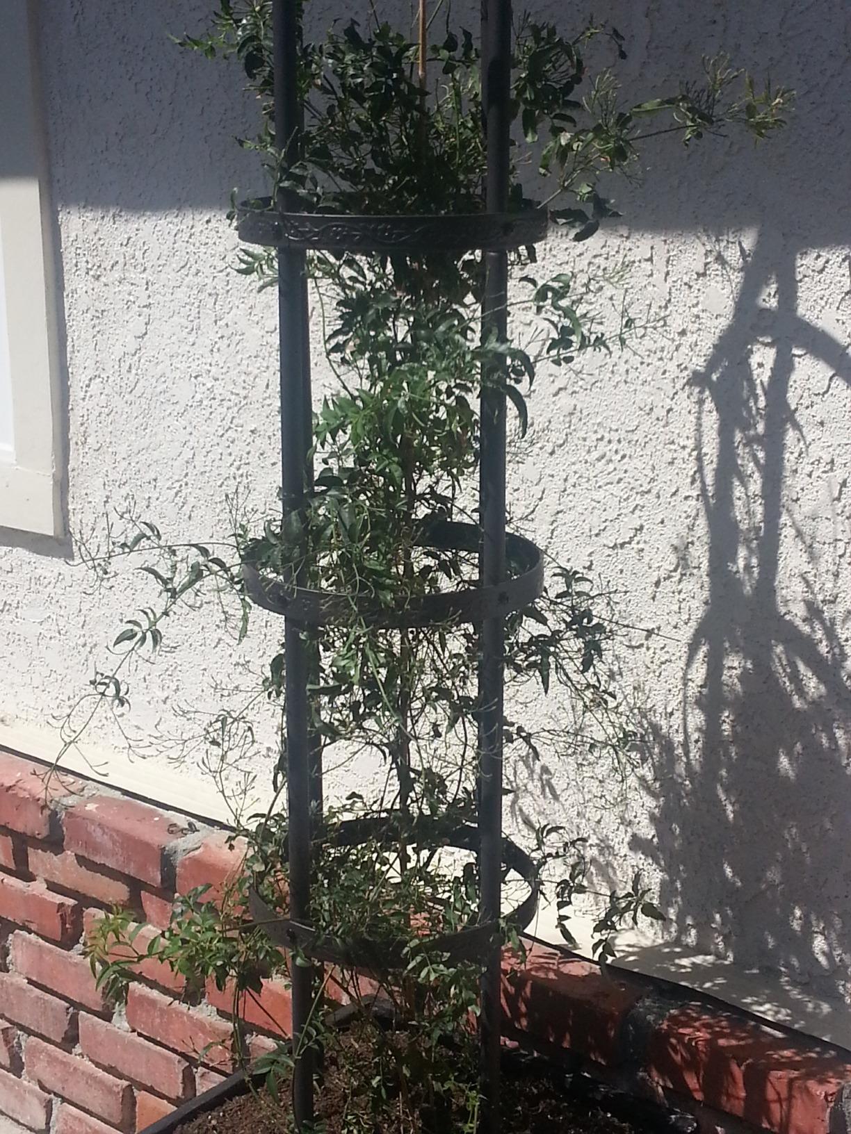 Plow & Hearth Metal Garden Obelisk | Indoor/Outdoor | Powder-Coated Steel | Trellis for Climbing | Floral Pattern | 11