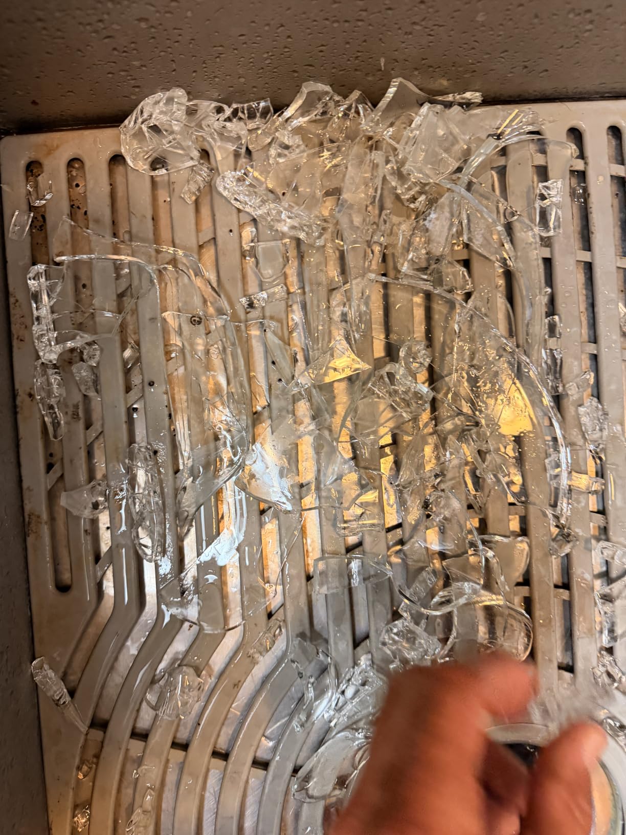 Pyrex C-209 Clear Fluted Rim Glass Pie Plate 9.5 in x 1.6 in (24 cm) - Made in USA customer photo 1