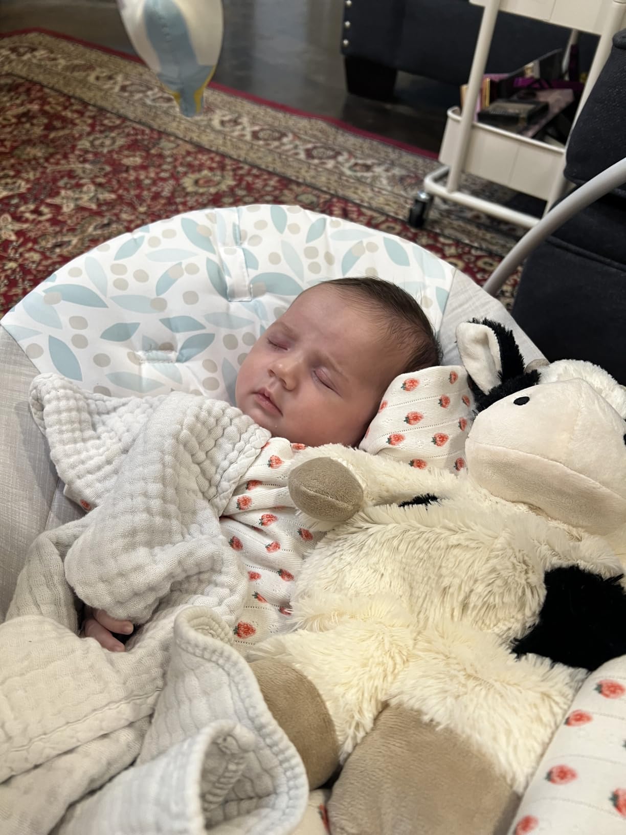 Ingenuity Soothe 'n Delight Compact Portable 6-Speed Plush Baby Swing with Music, Folds Easy, 0-9 Months 6-20 lbs, Cozy Kingdom customer photo 2