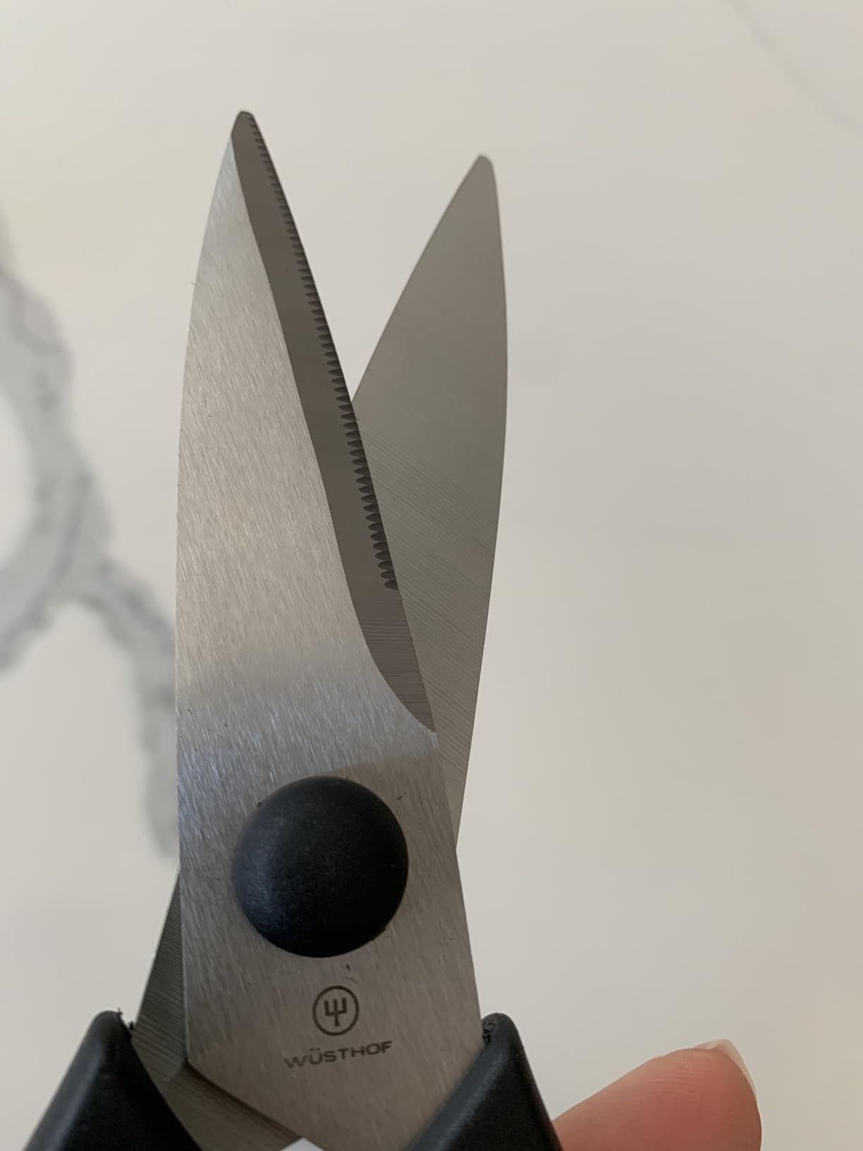 WÜSTHOF Come Apart Kitchen Shears customer photo 2