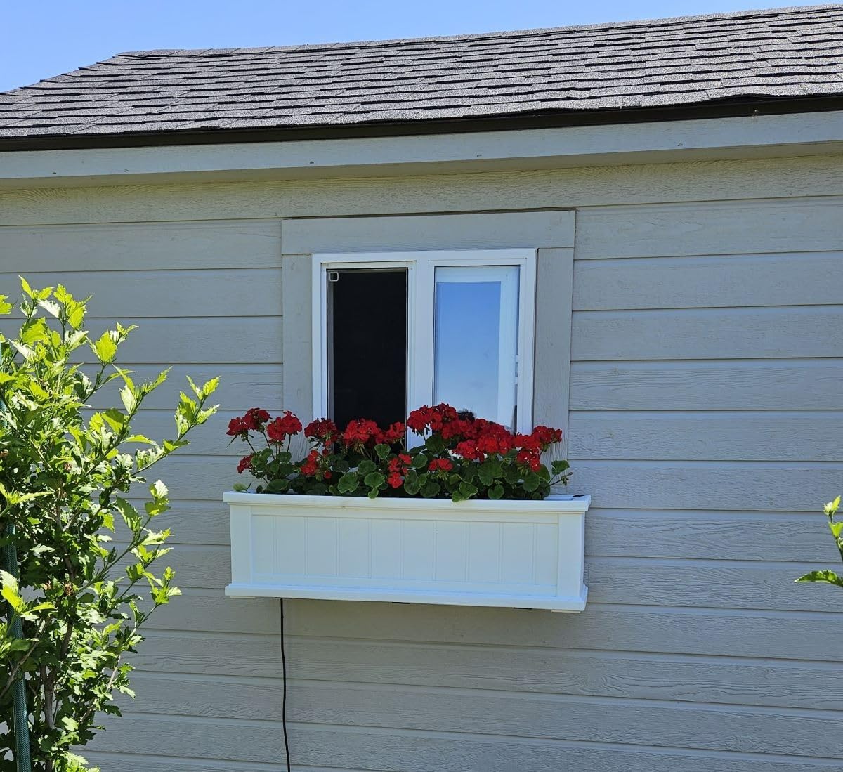 Mayne Cape Cod 3ft Window Box - White - 36in L x 11in W x 10.8in H - with 6.5 Gallon Built-in Water Reservoir (4840-W) customer photo 1