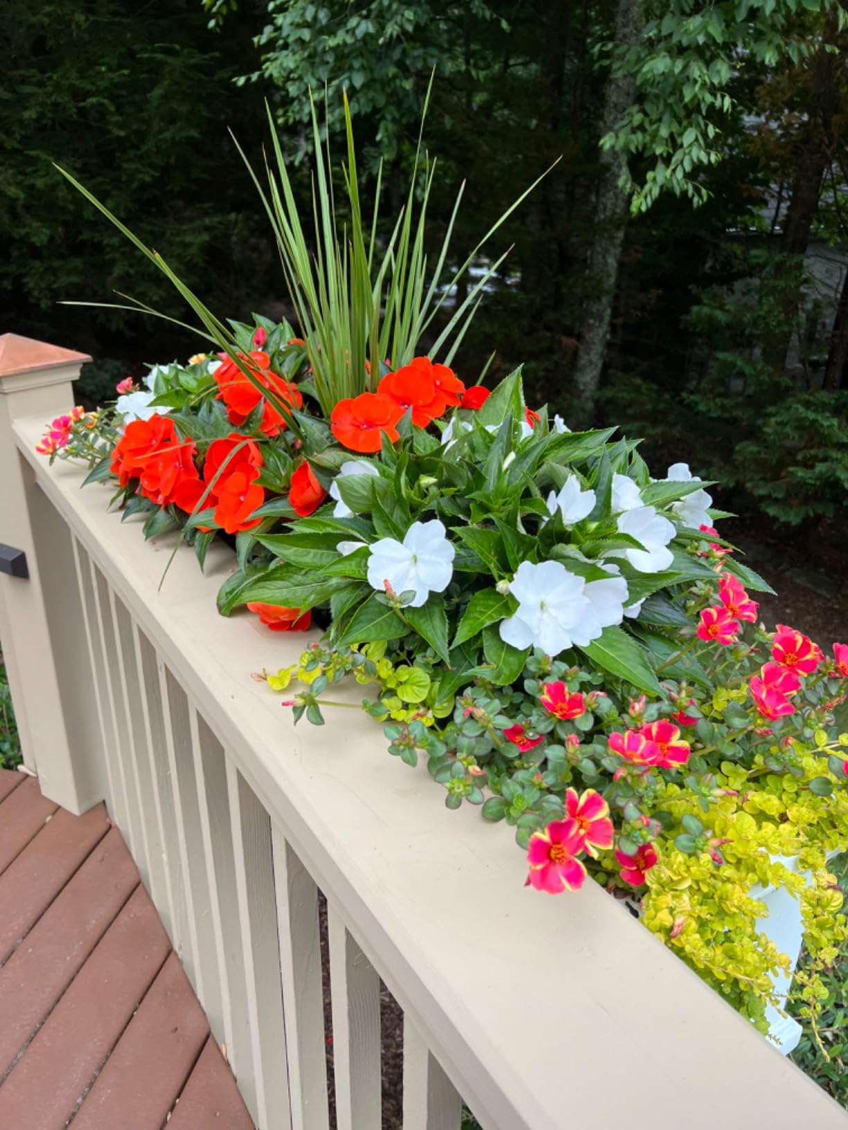 Mayne Cape Cod 3ft Window Box - White - 36in L x 11in W x 10.8in H - with 6.5 Gallon Built-in Water Reservoir (4840-W) customer photo 2