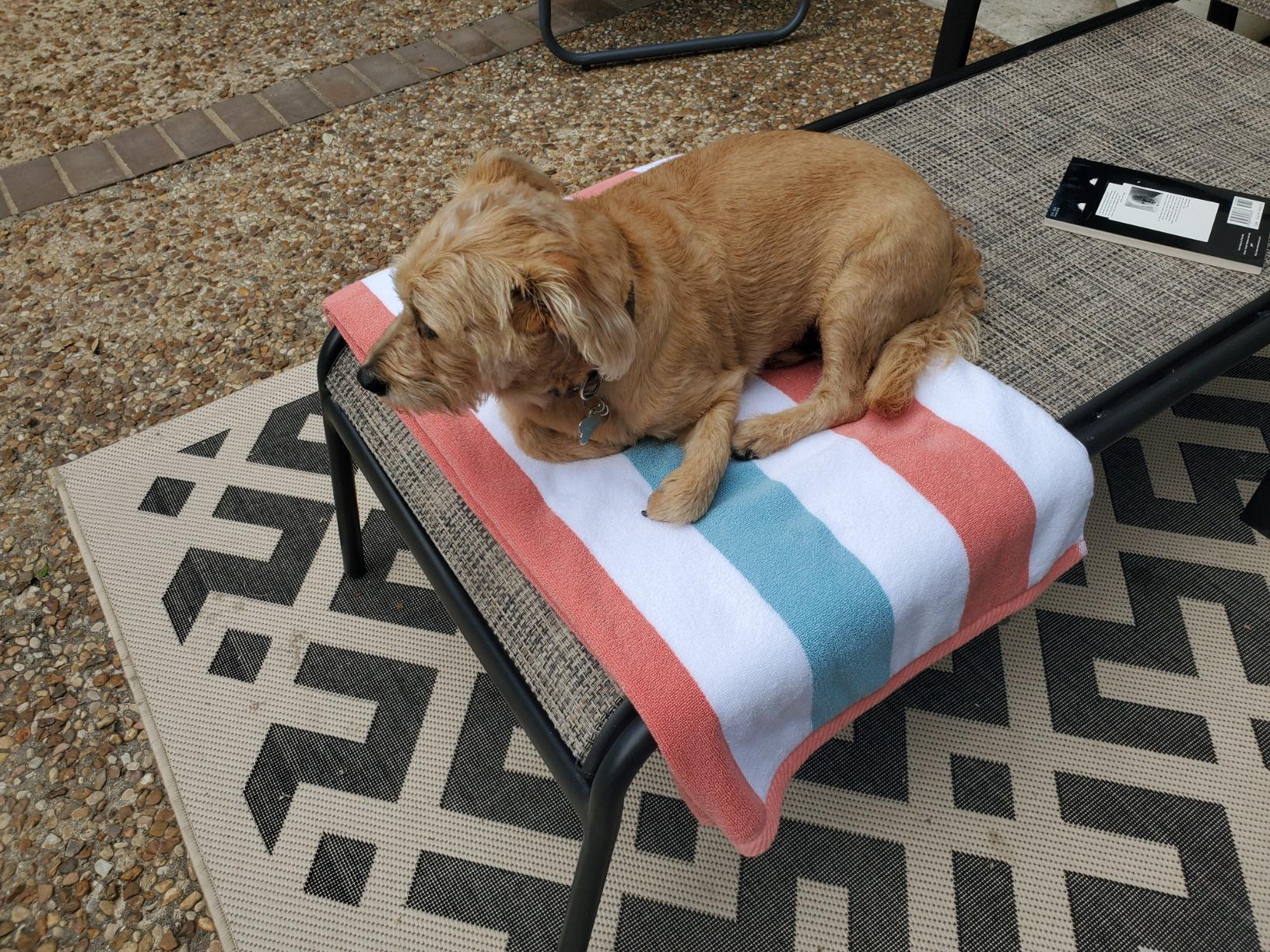 Laguna Beach Textile Co. Striped Cabana Beach Towel - Oversized, Plush 630 GSM Cotton customer photo 1