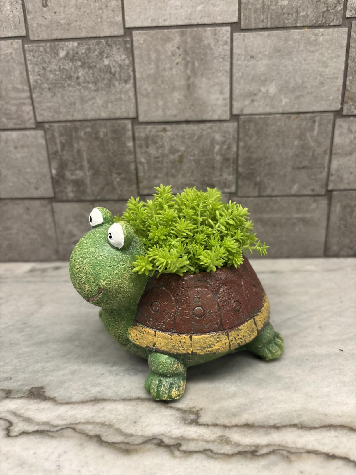Turtle Succulent Planter Pots - Handmade Resin Bonsai Pot with Drainage Hole, Mini Plant Pot for Succulents, Turtle Decor and Gifts for Women customer photo 1