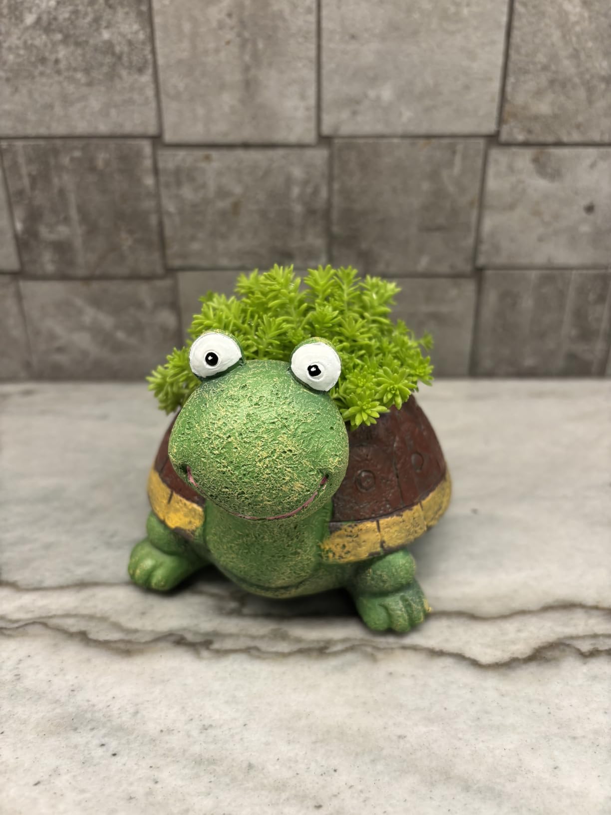 Turtle Succulent Planter Pots - Handmade Resin Bonsai Pot with Drainage Hole, Mini Plant Pot for Succulents, Turtle Decor and Gifts for Women customer photo 2