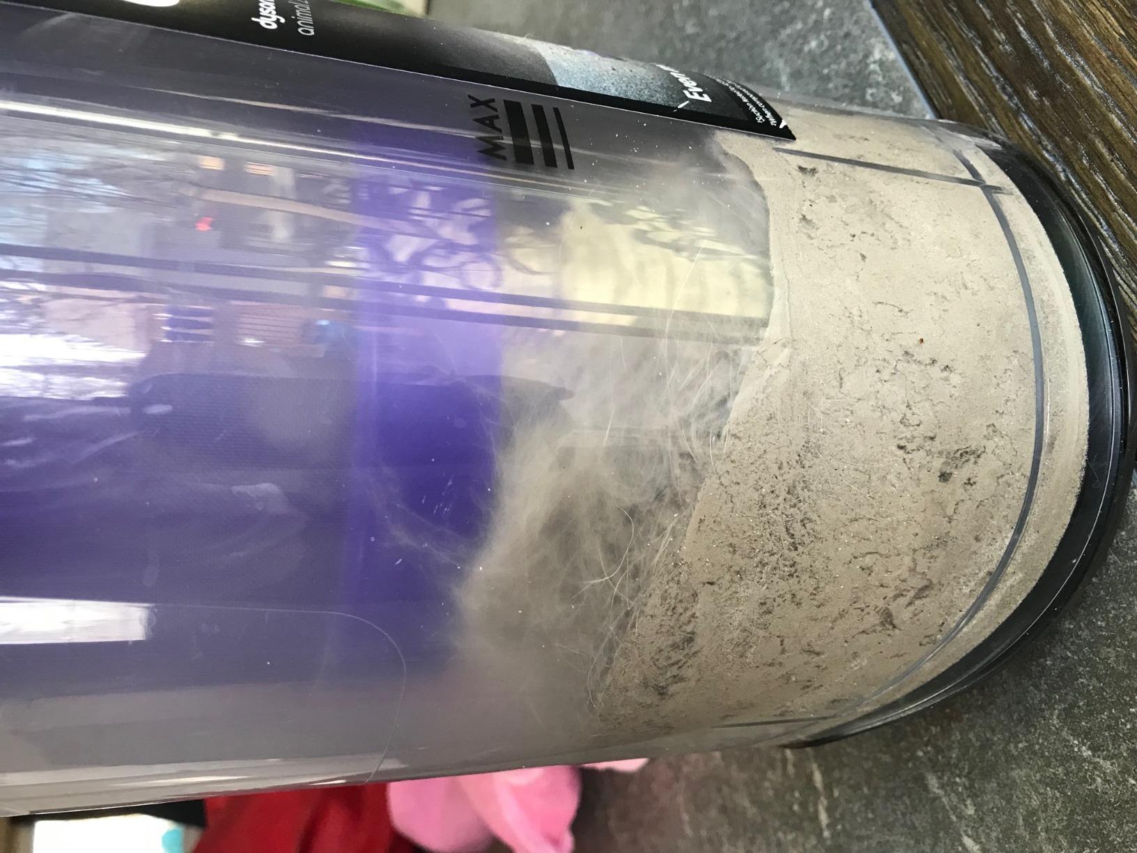 Dyson Ball Animal 2 Upright Vacuum Cleaner, Iron/Purple customer photo 2