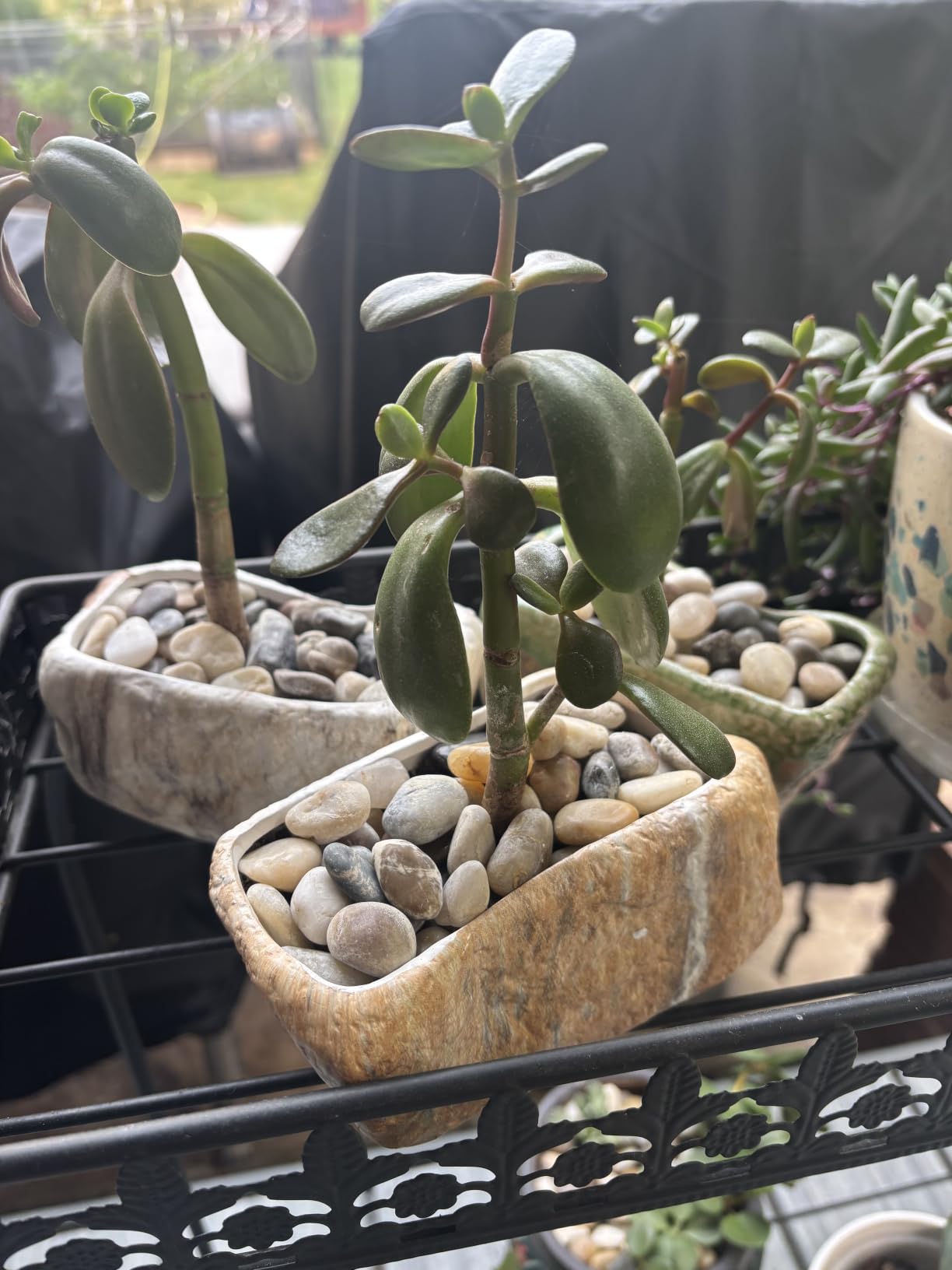 T4U 5.5 Inch Ceramic Succulent Pot Planter with Drainage Hole Set of 3, Stone Shape Rectangle Window Box Cactus Plant Containers customer photo 1
