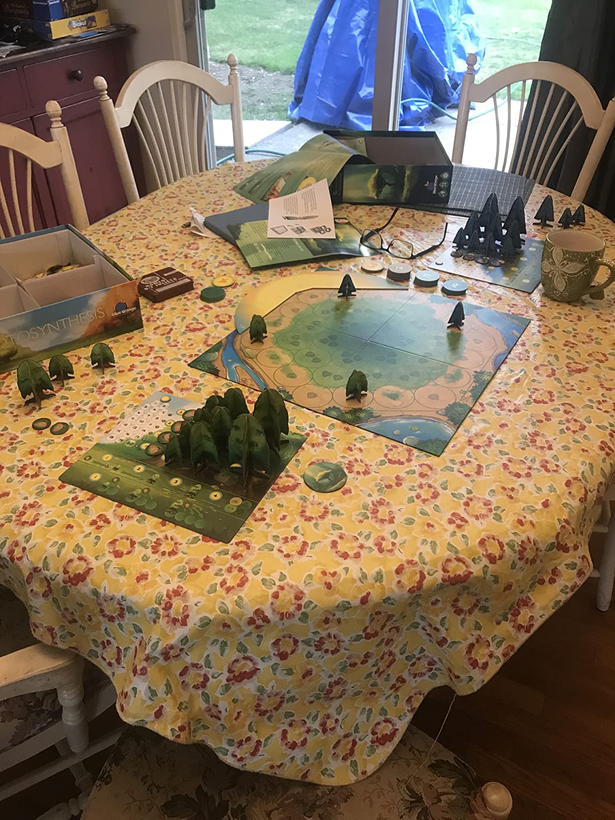 Blue Orange Games Photosynthesis Board Game - Award Winning Family or Adult Strategy Board Game for 2 to 4 Players. Recommended for Ages 8 & Up. customer photo 1