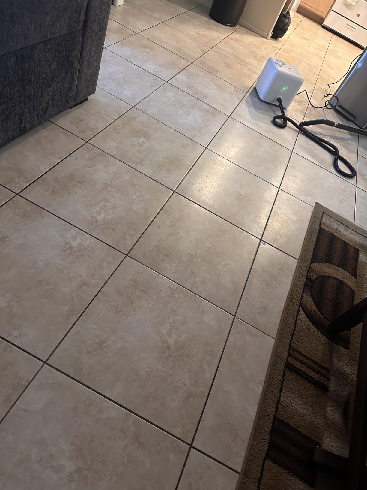 Dupray Neat Steam Cleaner for Home - Essential Pack | Powerful Multipurpose Steamer customer photo 2