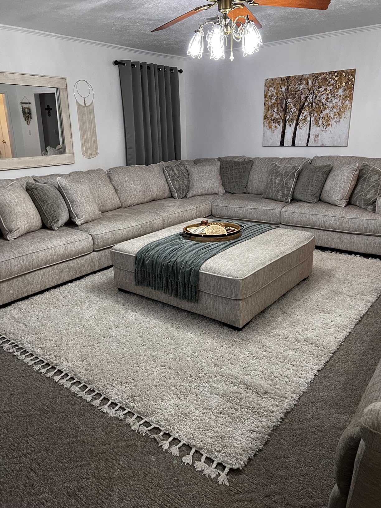 JONATHAN Y Mercer Shag Plush Tassel Cream Indoor Area Rug, 5x8, Contemporary, Modern, Easy-Cleaning for Living Room, Bedroom, Kitchen, Pet Friendly, Non-Shedding (MCR100D-5) customer photo 1