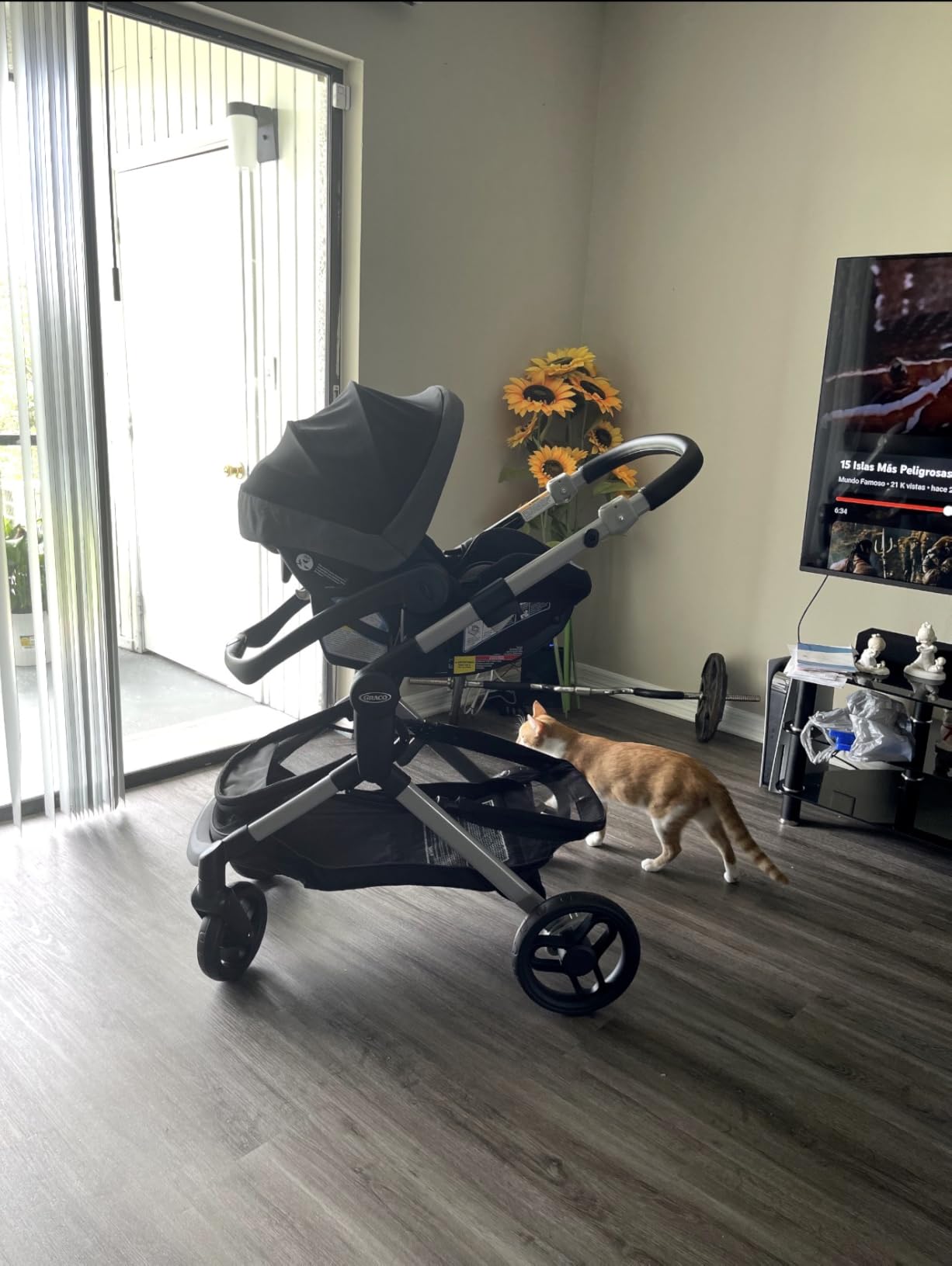 Graco Modes Nest Travel System, 3-in-1 Modular Carseat Stroller Combo customer photo 2