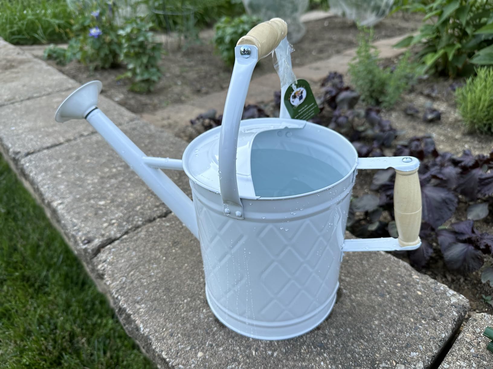 1 Gallon Watering Can, Metal Watering Can with Removable Spout, Farmhouse Galvanized Water Can, Nice Plant Water Can for Indoor Use and for Outdoor Use | Classic Galvanized Watering Pot for Garden, Patio, and Houseplants customer photo 2