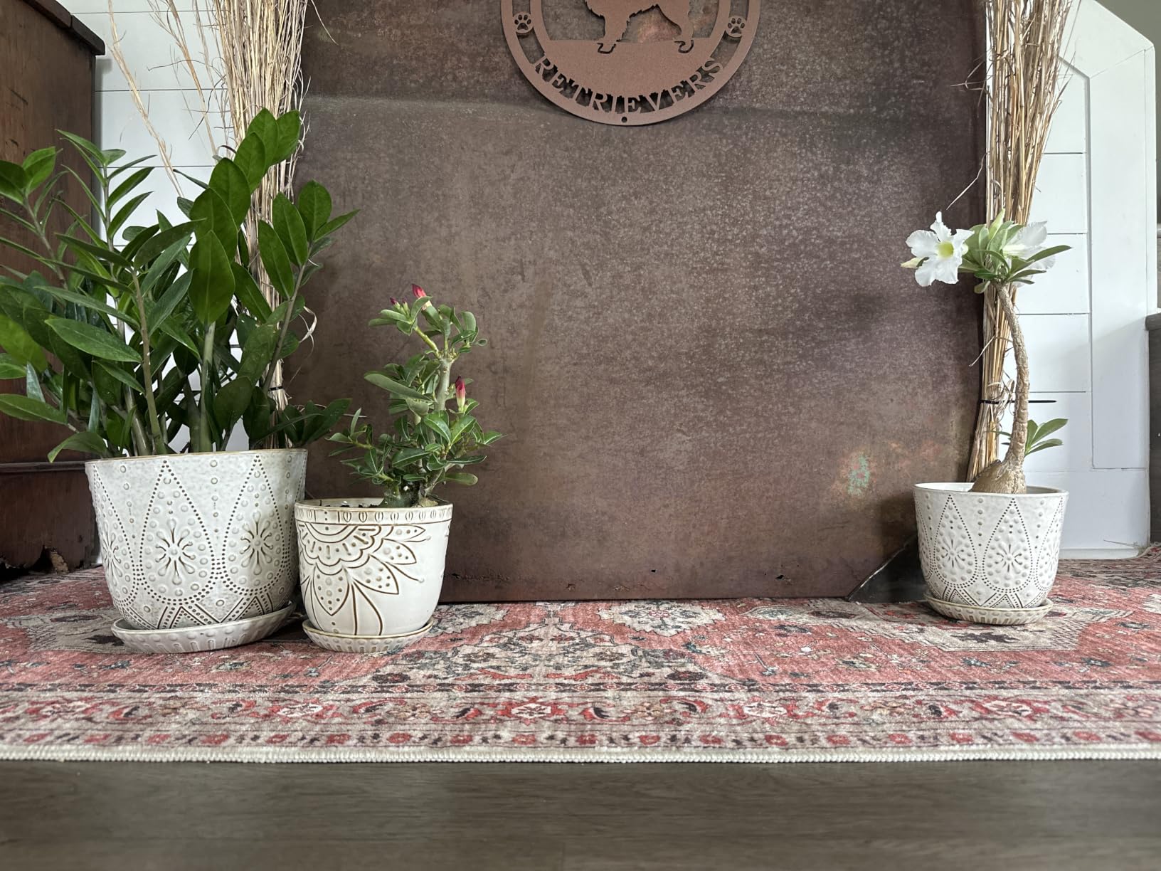 Gepege Ceramic Plant Pots, 6 Inch Indoor Planters with Drainage & Saucers, Ceramic Pots for Plants with Drainage Holes, Set of 2 customer photo 2