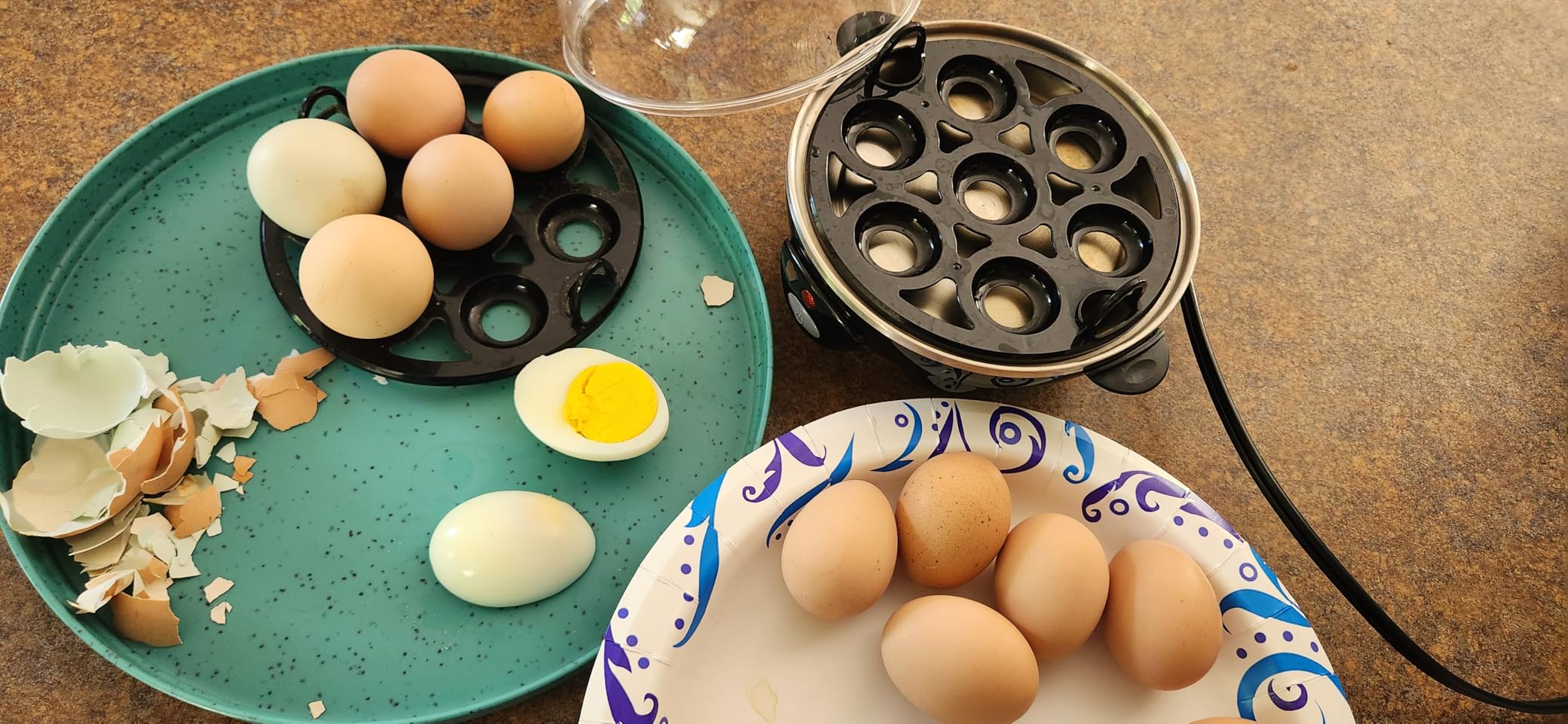 Hamilton Beach 3-in-1 Electric Hard Boiled Egg Cooker | Soft, Medium Or Hard Boiled Eggs | Egg Poacher | Omelet Maker |Vegetable Steamer | Holds 14 Eggs | Black | 25508G customer photo 2