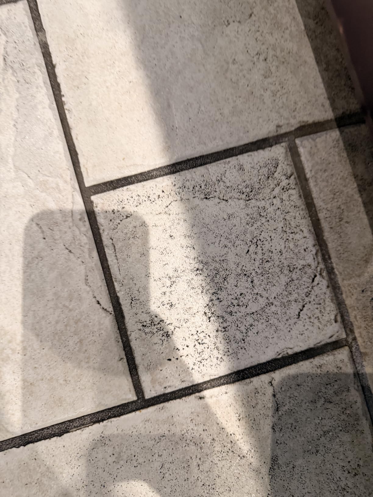 BISSELL SpinWave Pet Hard Floor Corded Spin Mop, Electric Floor Cleaner with Washable Pads for Stain Removal on Sealed Hard Floors, 20399 customer photo 1