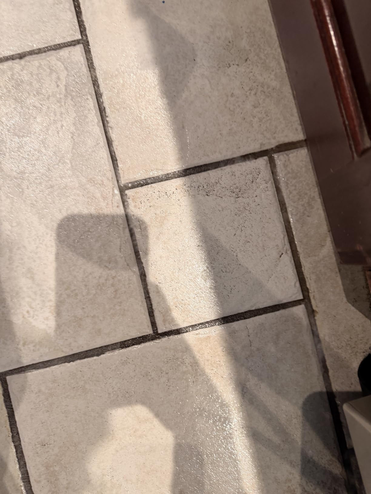BISSELL SpinWave Pet Hard Floor Corded Spin Mop, Electric Floor Cleaner with Washable Pads for Stain Removal on Sealed Hard Floors, 20399 customer photo 2