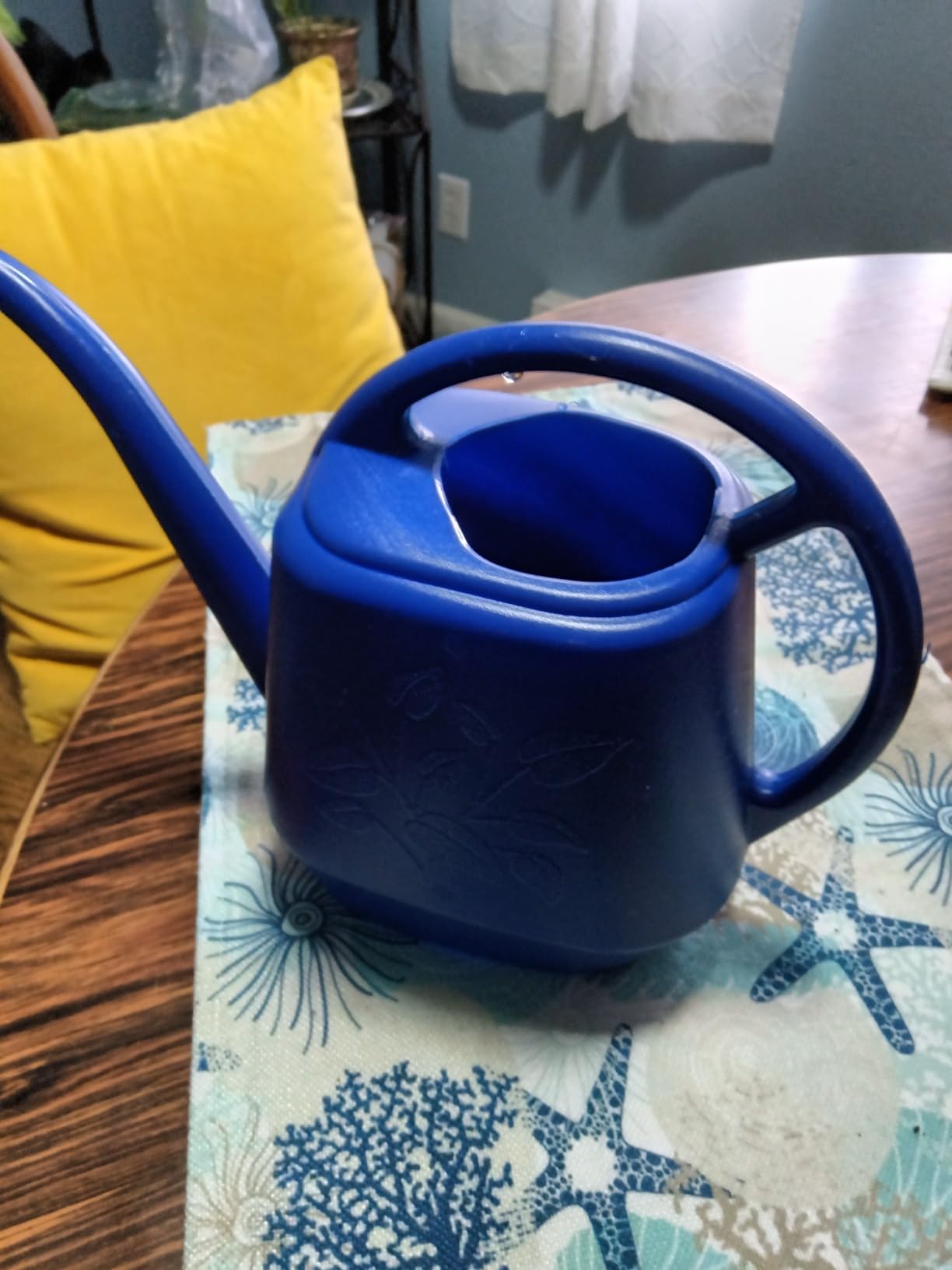 Bloem Aqua Rite Watering Can: 56 Oz - Classic Blue - Large Capacity, Extra Long Spout, Durable Plastic, One Piece Construction, for Indoor & Outdoor Use, Gardening customer photo 2
