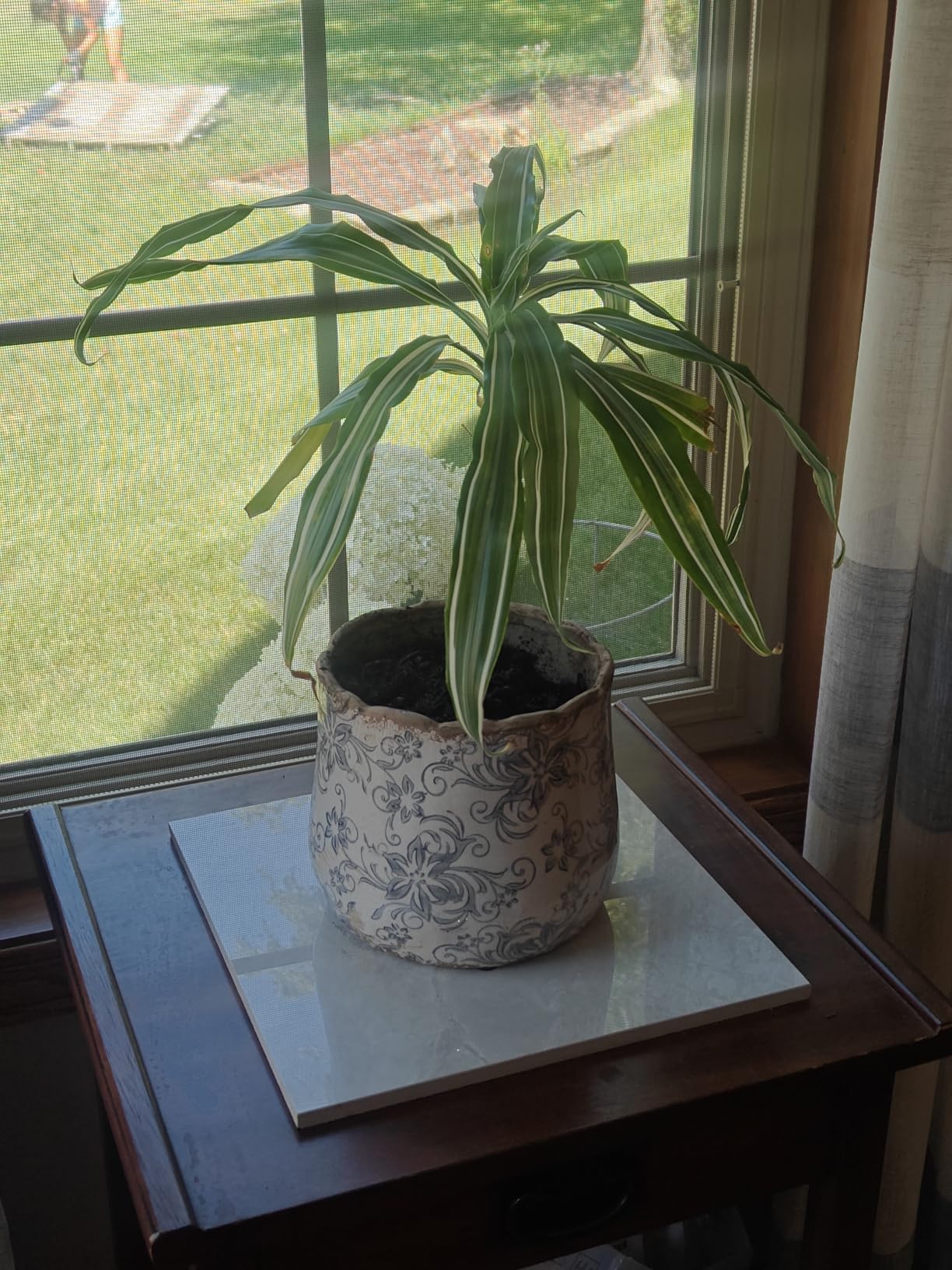 Nearly Natural 7 in Tuscan Ceramic Gray Scroll Decorative Planter | Artisanal Style, Quality Ceramic, Indoor Home, Shelf, and Table Decor customer photo 1