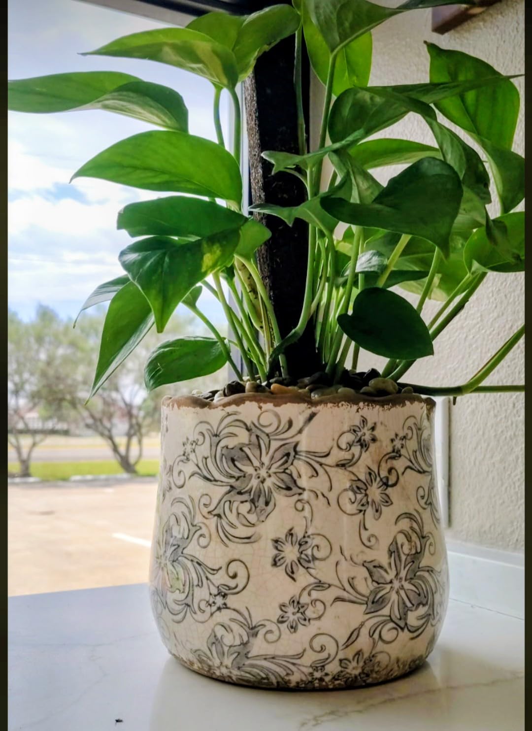 Nearly Natural 7 in Tuscan Ceramic Gray Scroll Decorative Planter | Artisanal Style, Quality Ceramic, Indoor Home, Shelf, and Table Decor customer photo 2
