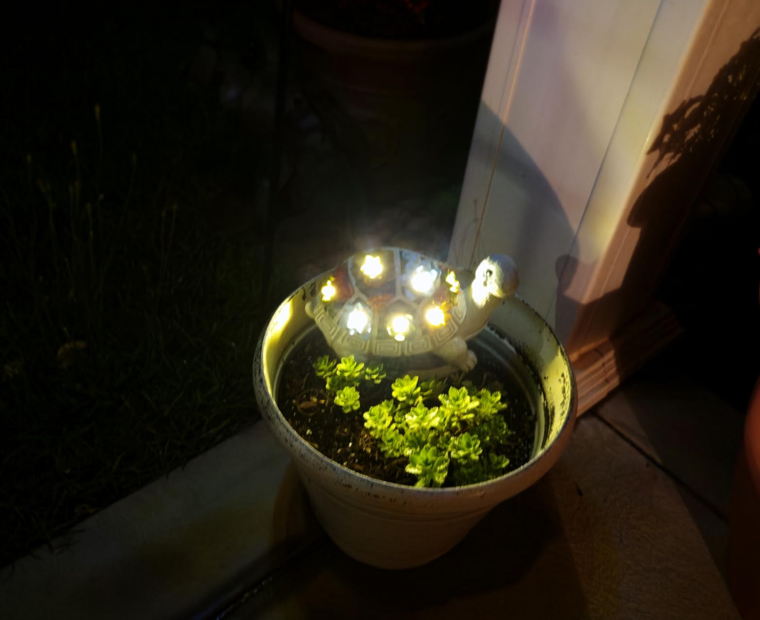 Solar Garden Outdoor Statues Turtle with Succulent and 7 LED Lights - Lawn Decor Statue for Patio, Balcony, Yard Ornament - #1 Best Seller customer photo 1