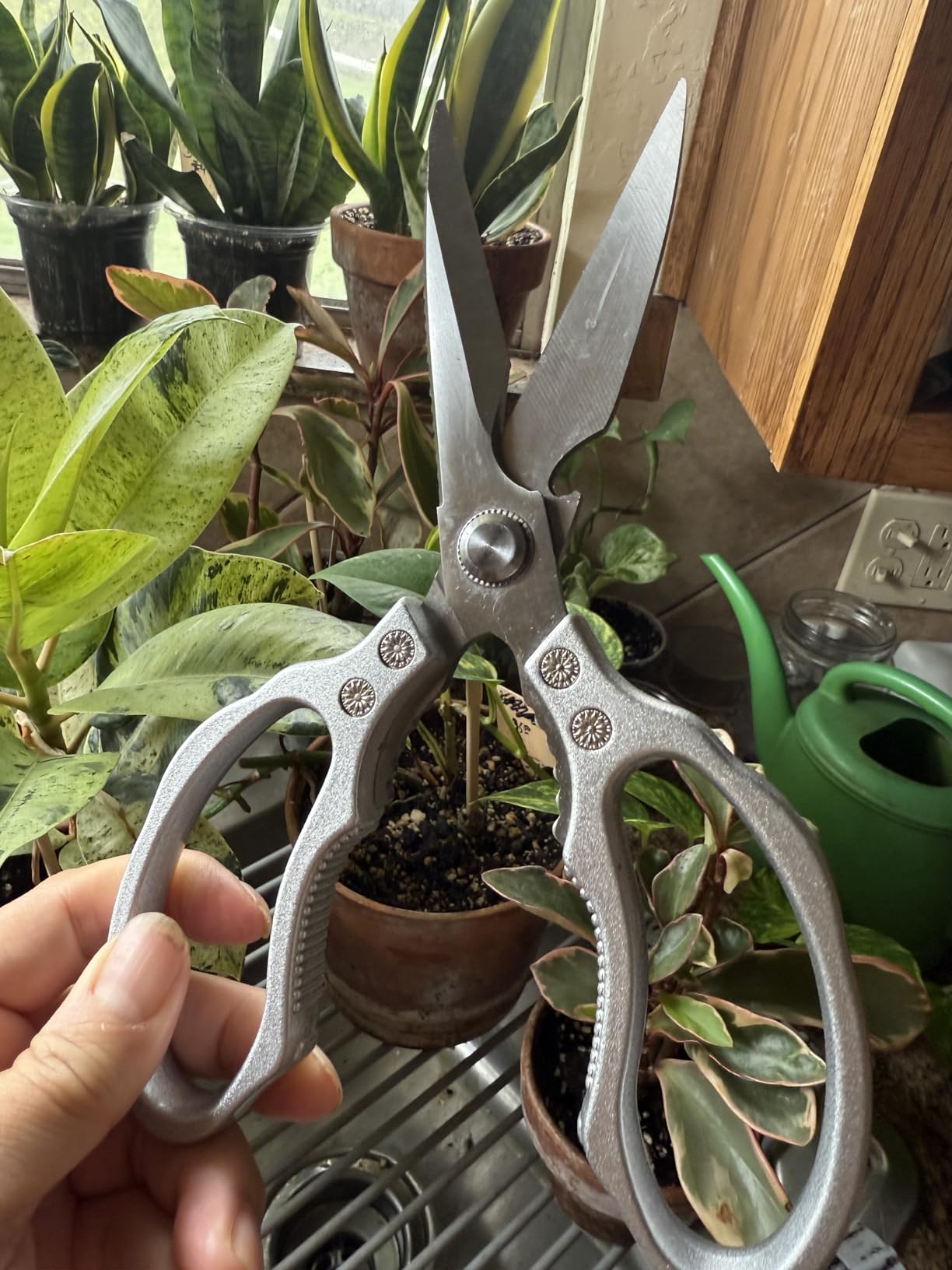 CGBE Kitchen Scissors, Multi-Purpose Kitchen Shears, Heavy Duty Dishwasher Safe Food Scissors for Chicken, Poultry, Fish, Meat & Herbs with Non-Slip Grips - Sliver customer photo 1