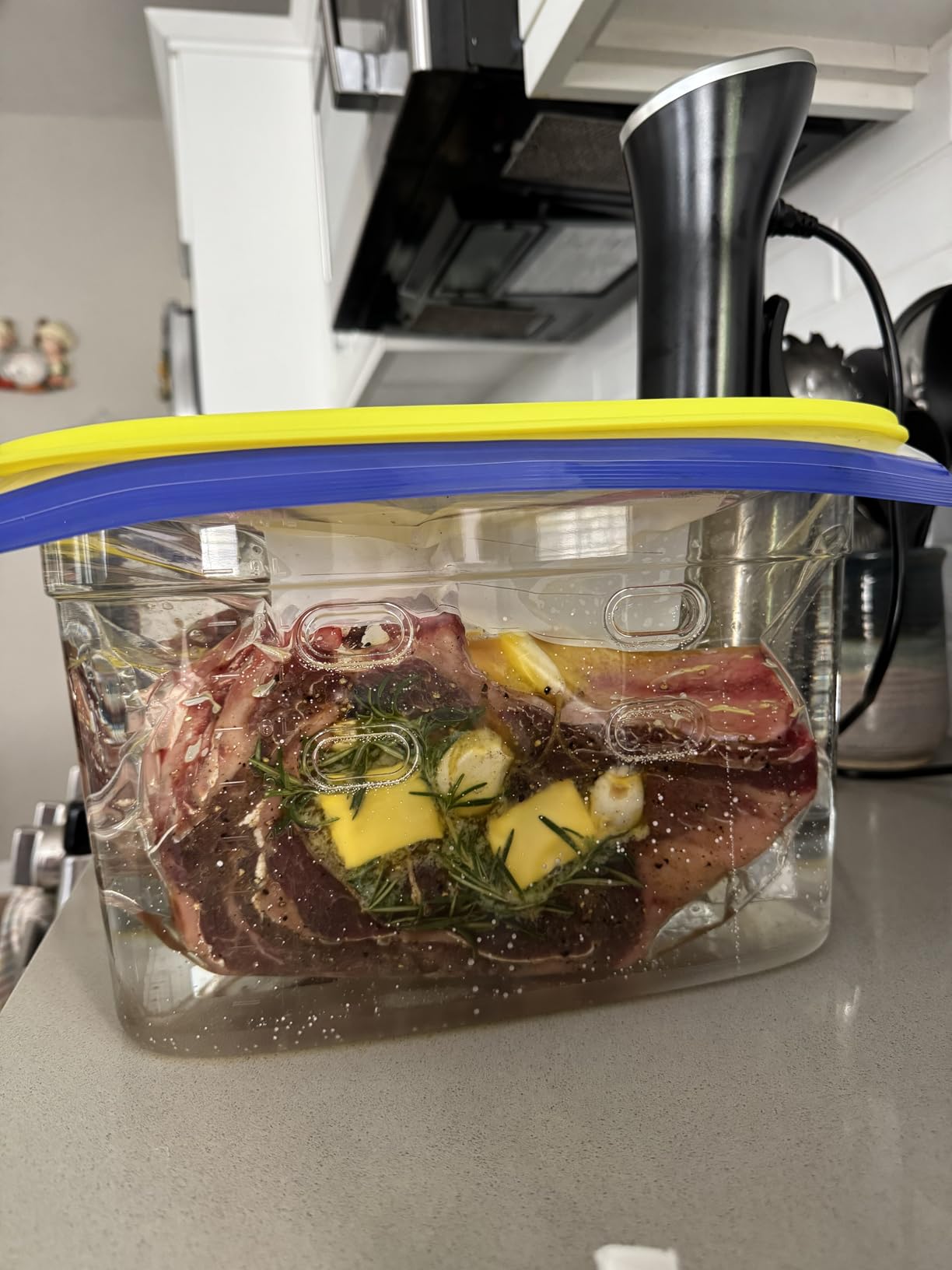 Wancle Sous Vide Cooker 1100W IPX7 Waterproof Thermal Immersion Circulator With Reservation Function customer photo 2