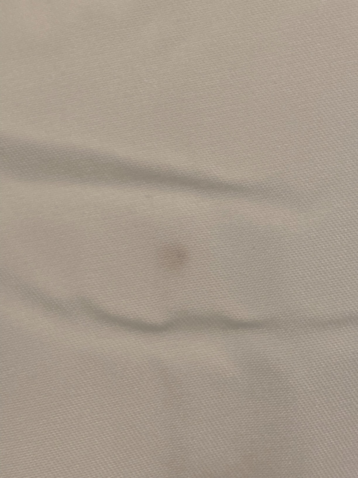 Serta Down Illusion All Season Hypoallergenic Down Alternative Comforter with Corner Loops, King/Cal King, White customer photo 1