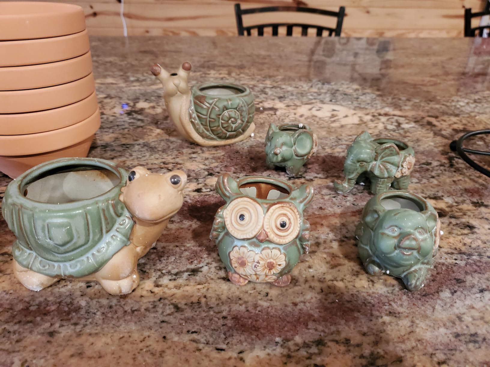 Okllen 6 Pack Mini Animal Ceramic Succulent Planter Set, Cute Elephant, Turtle, Owl, Snail, Succulent Pots with Drainage Hole, Ideal for Bonsai, Indoor, Outdoor customer photo 1