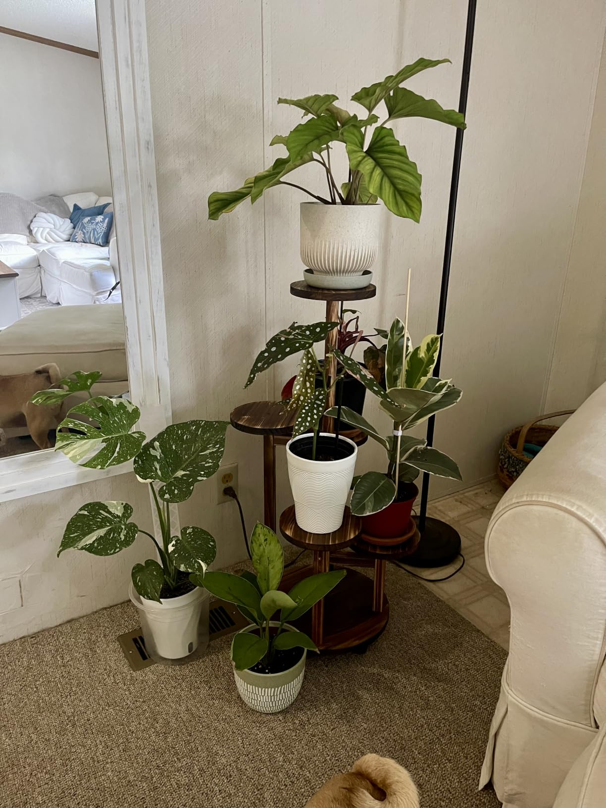 GEEBOBO 5 Tiered Tall Plant Stand for Indoor, Wood Plant Shelf Corner Display Rack, Multi-tier Planter Pot Holder Flower Stand for Living Room Balcony Garden Patio (Brown) customer photo 2