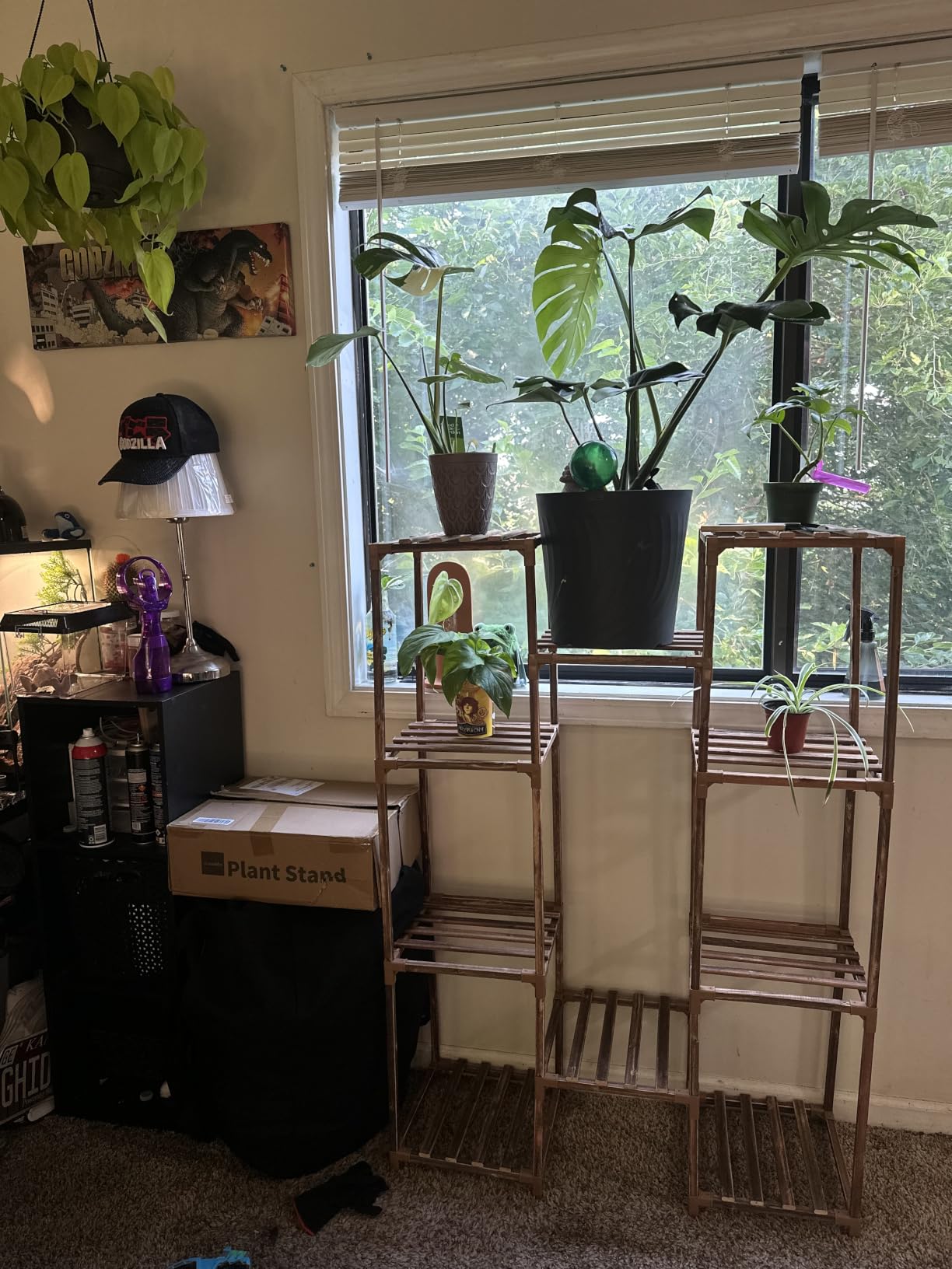 Uneedem Plant Stand Indoor Outdoor, Tall Plant Shelf for Multiple Plants, 10 tiers 11 Pot Large Plants Holder Rack Wood Plant Shelves for Room Corner Balcony Garden Patio customer photo 1