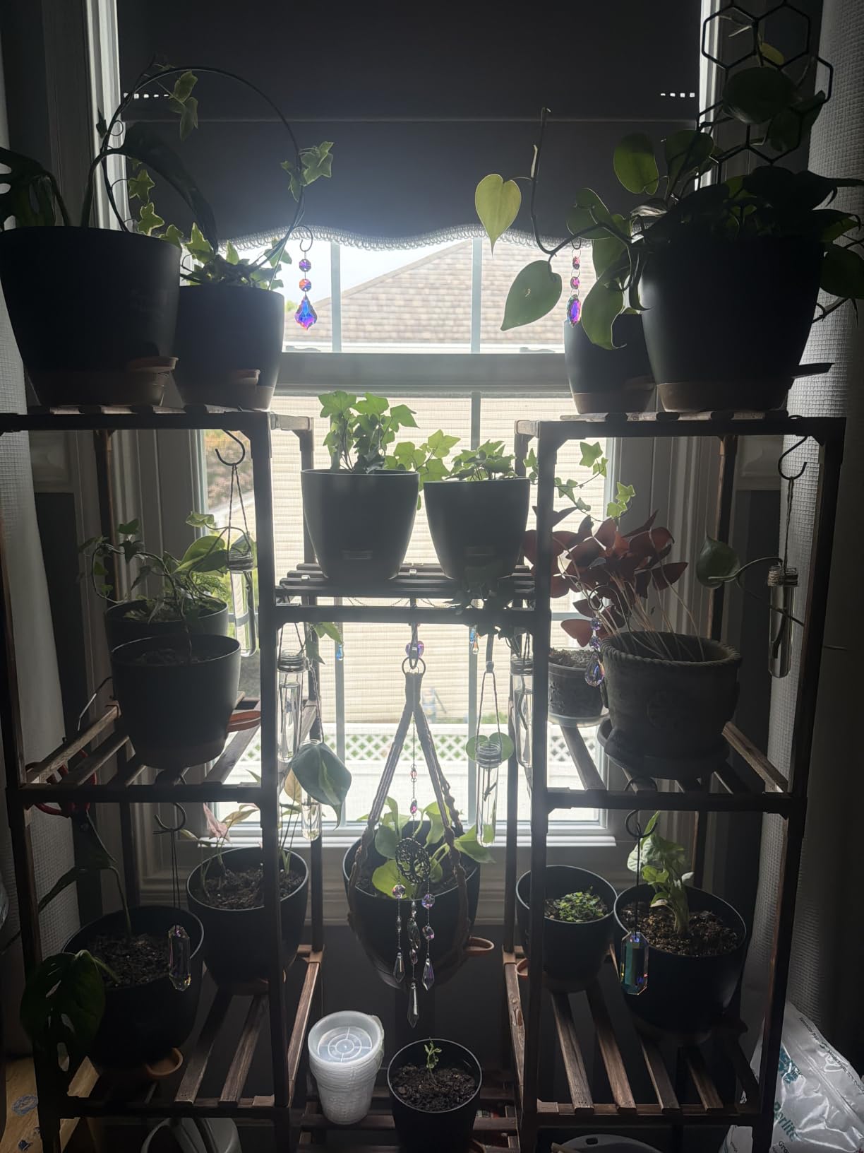 Uneedem Plant Stand Indoor Outdoor, Tall Plant Shelf for Multiple Plants, 10 tiers 11 Pot Large Plants Holder Rack Wood Plant Shelves for Room Corner Balcony Garden Patio customer photo 2