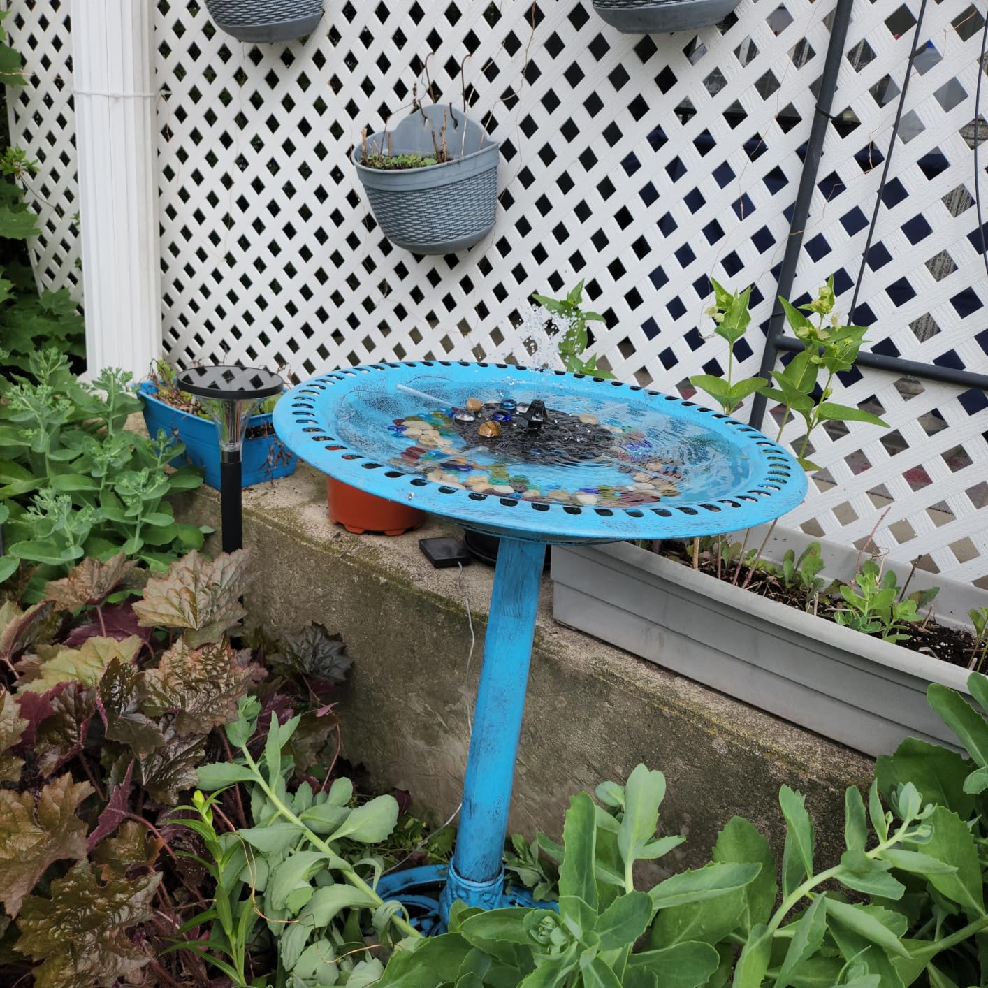 VIVOHOME Bird Bath with Solar Fountain for Outside, Pedestal, Bronze | Solar-Powered Pump, Weather-Resistant Polyresin, 20-Inch Bowl, for Outdoor/Garden, Bird-Friendly, Easy to Clean customer photo 1