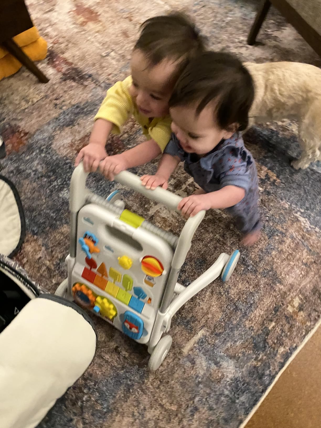 Skip Hop Baby Walker 4-in-1 Sit to Stand Convertible Light Up Walker with 40+ Activities Explore & More Age 6m+ customer photo 1