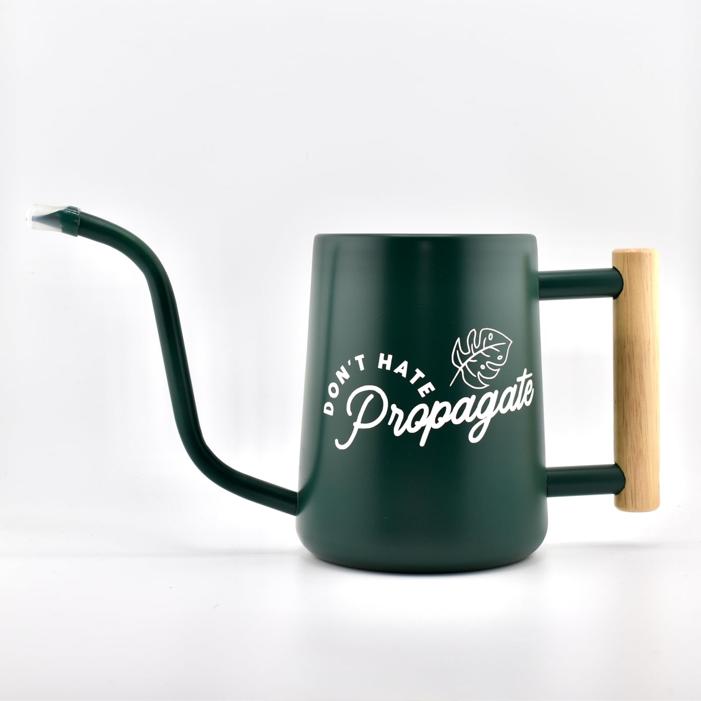 Watering Can for Indoor Plants, 35 oz/1000 ml Metal Stainless Steel Pot with Long Spout for House Plants Bonsai Outdoor Garden Flower Decorative (Black) customer photo 1