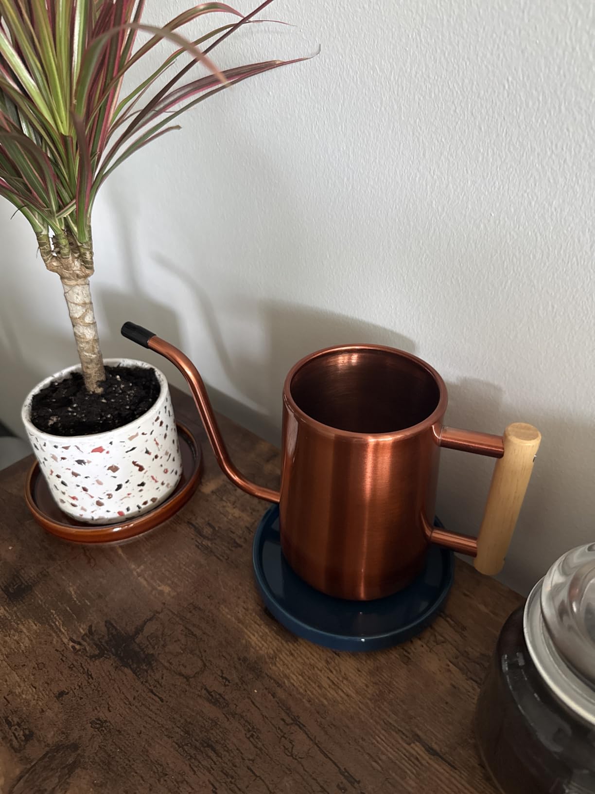 Watering Can for Indoor Plants, 35 oz/1000 ml Metal Stainless Steel Pot with Long Spout for House Plants Bonsai Outdoor Garden Flower Decorative (Black) customer photo 2