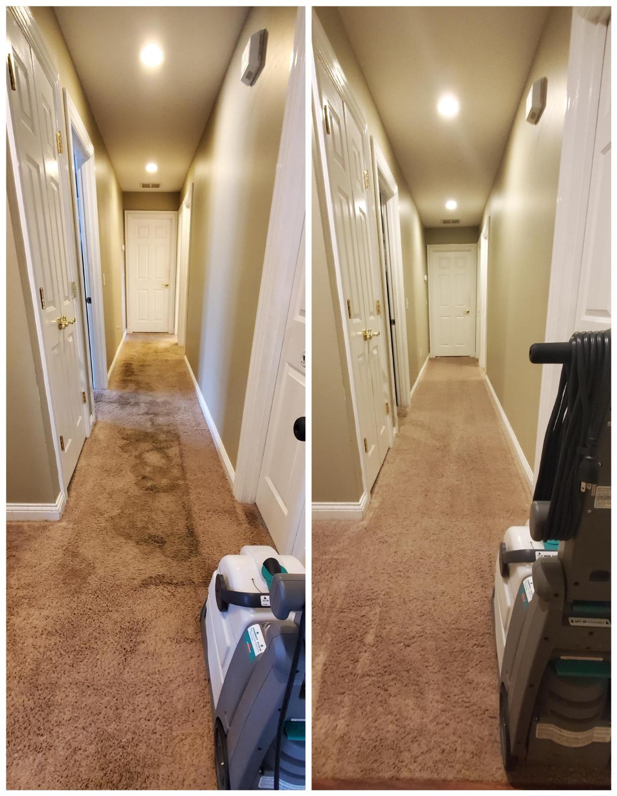 Bissell® Big Green® PET PRO Carpet Cleaner with 8 Row XL DirtLifter PowerBrush, 9-inch Long Reach Hose, 2 Upholstery Tools, Includes Pet Pro Oxy Urine Eliminator Formula customer photo 2