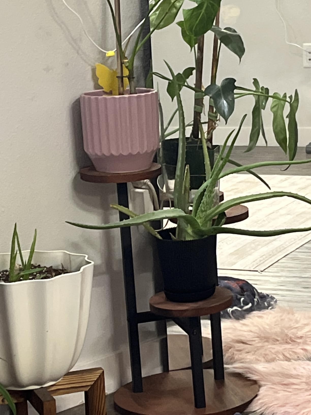 AUGOSTA 3 Tier Plant Stand, Tall Metal Wood Shelf Holder for Indoor, Outdoor Display Rack Flower Pot Stand for Corner Living Room Balcony Garden Patio customer photo 1