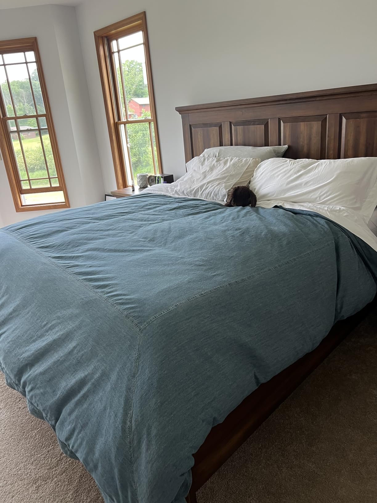APSMILE All Season Down Feather Fibers Comforter Oversized King Size - Ultra-Soft High Fill-Power Hotel Collection Duvet Insert, Cloud Fluffy Medium Warm Quilt Comforter(120x98, White) customer photo 1