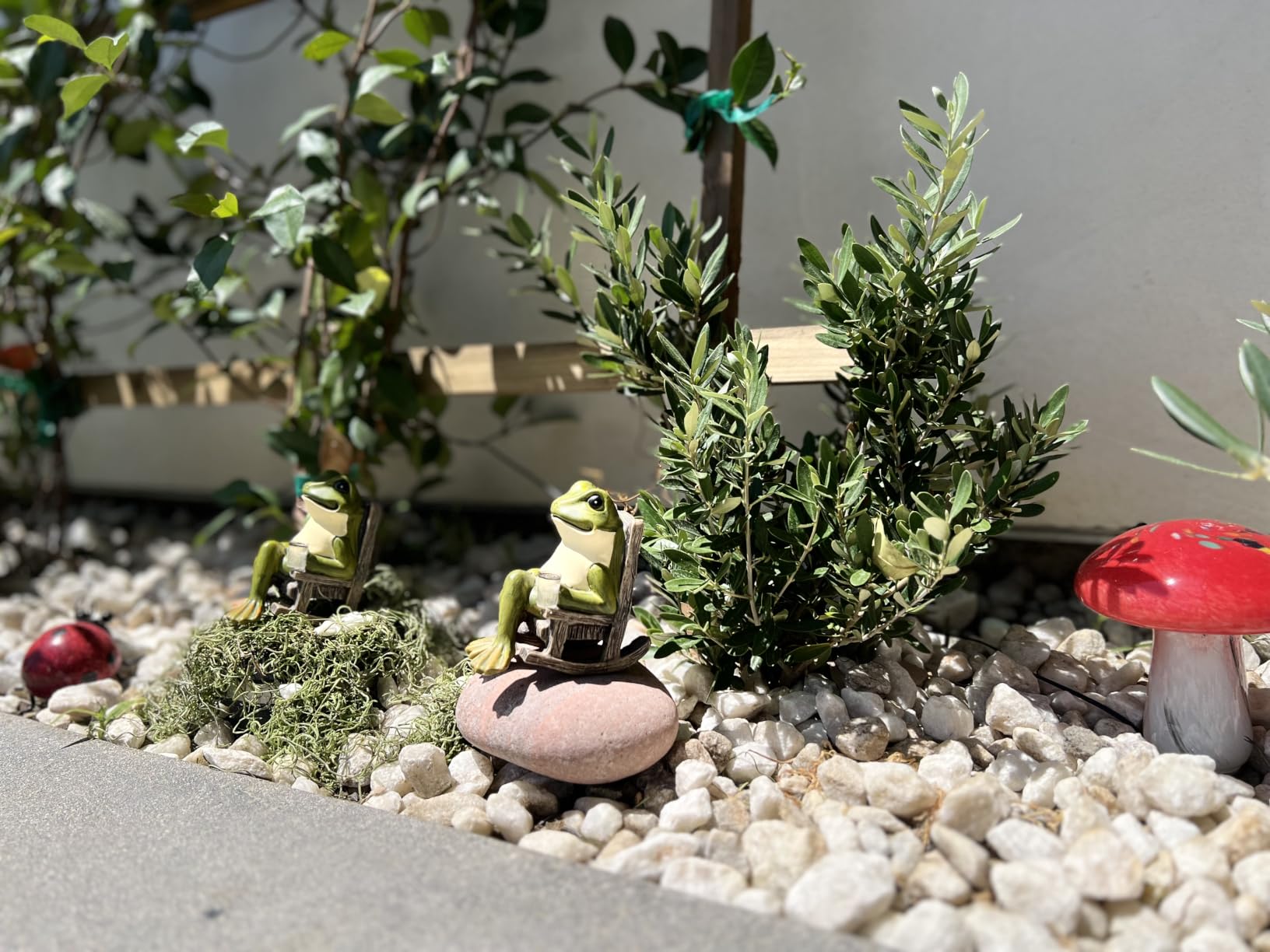 FOXMIS Miniature Frog Garden Statue Solar Garden Frog Decor Art Housewarming Gift for Patio, Yard, Lawn Ornament customer photo 1