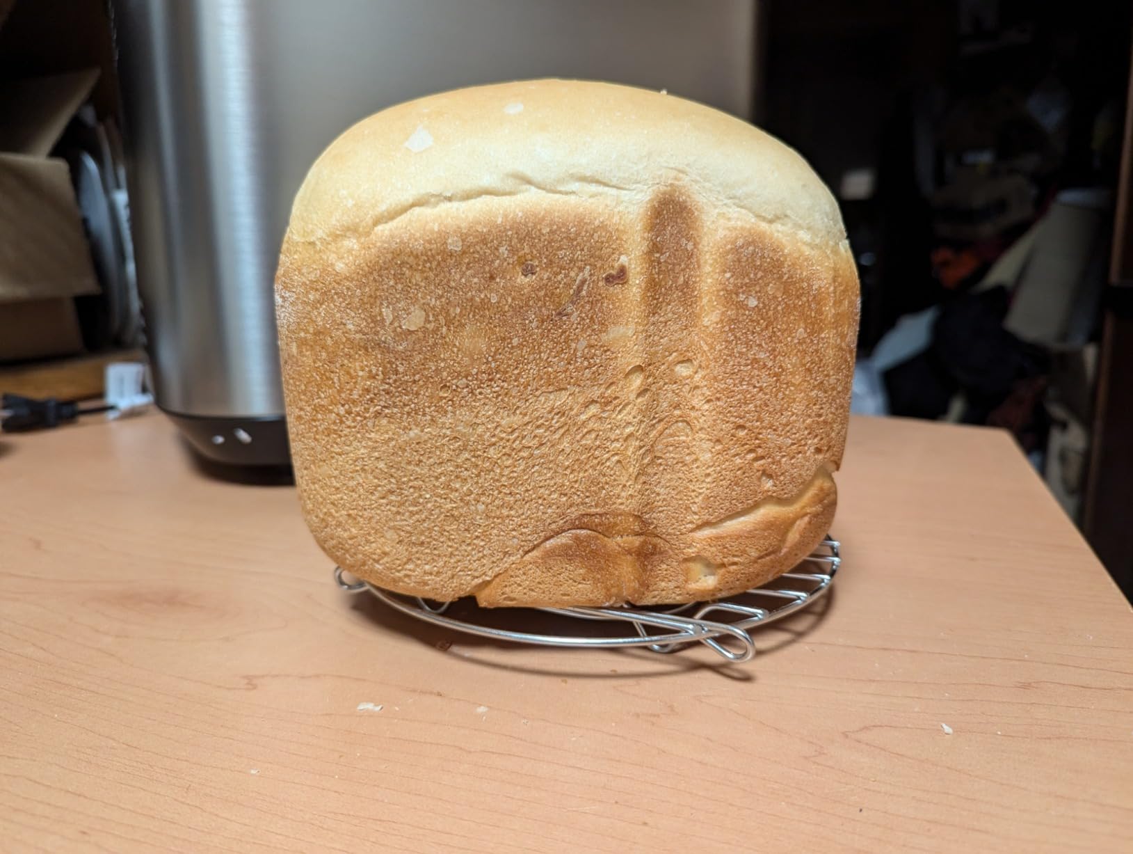 Panasonic Bread Machine, Automatic Bread Maker with 20 Presets and Advanced Temperature Sensor for Bread, Cake, and Pizza, Gluten Free Baking, Raisin Nut Dispenser - SD-R2550 customer photo 2