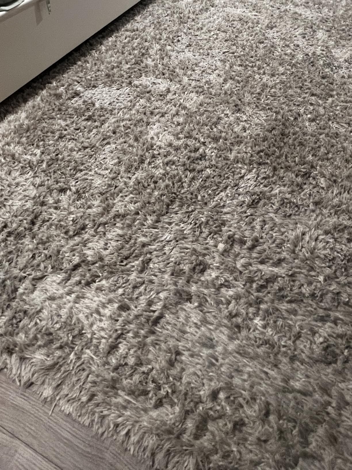 BISSELL ProHeat 2X Revolution Pet Pro Plus, 3588F, Upright Deep Cleaner customer photo 2