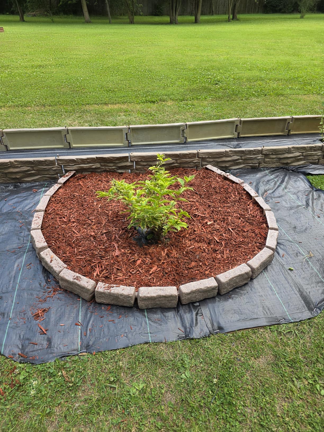 Landscape Edging | Garden Edging Border | Polyrock Bricks for Lawn edging, Flower beds, Pathways & Yard Edging- 4 Packs | Each Section Has 6 Bricks 48