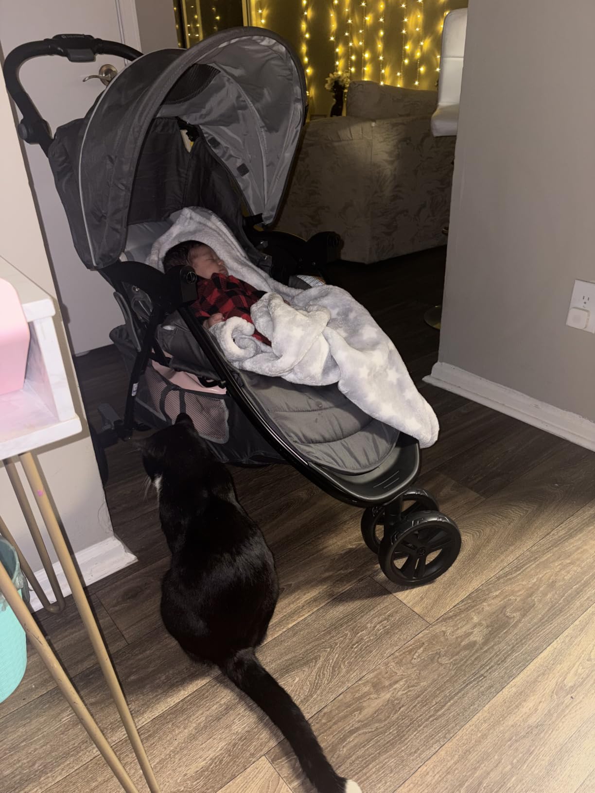 Baby Trend EZ Ride Travel System, Dash Grey customer photo 2