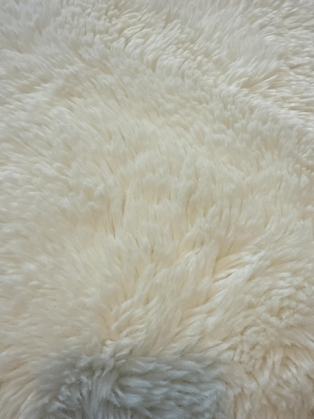 Ghouse Soft Faux Sheepskin Fur Rug 2x4 Black Fluffy Bedside Rugs Plush Rug Shag Nursery Carpet Area Rugs for Living Room Bedroom Playing Room Decor customer photo 1